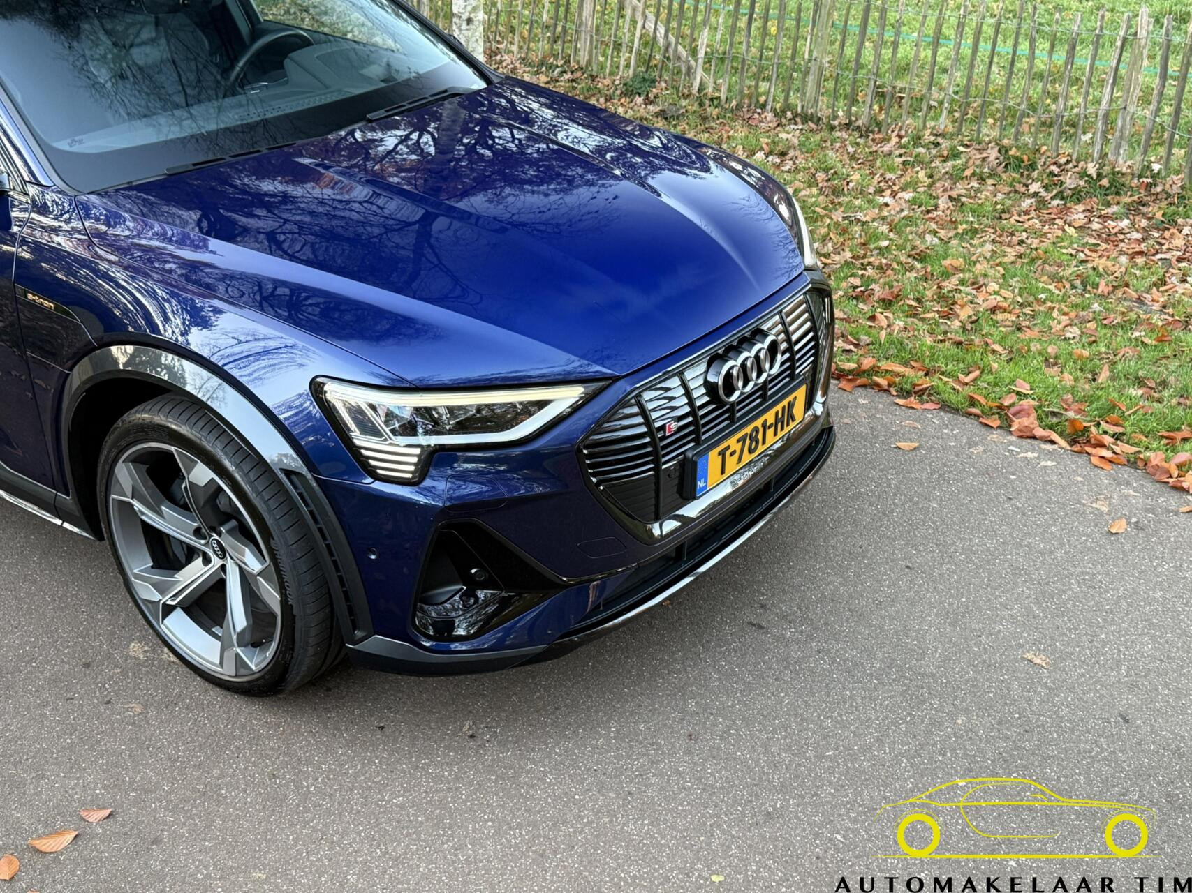 Hoofdafbeelding Audi e-tron