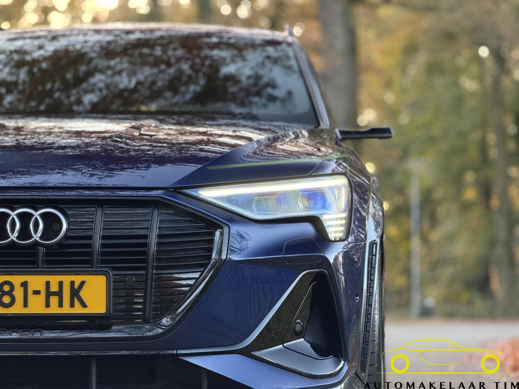 Hoofdafbeelding Audi e-tron