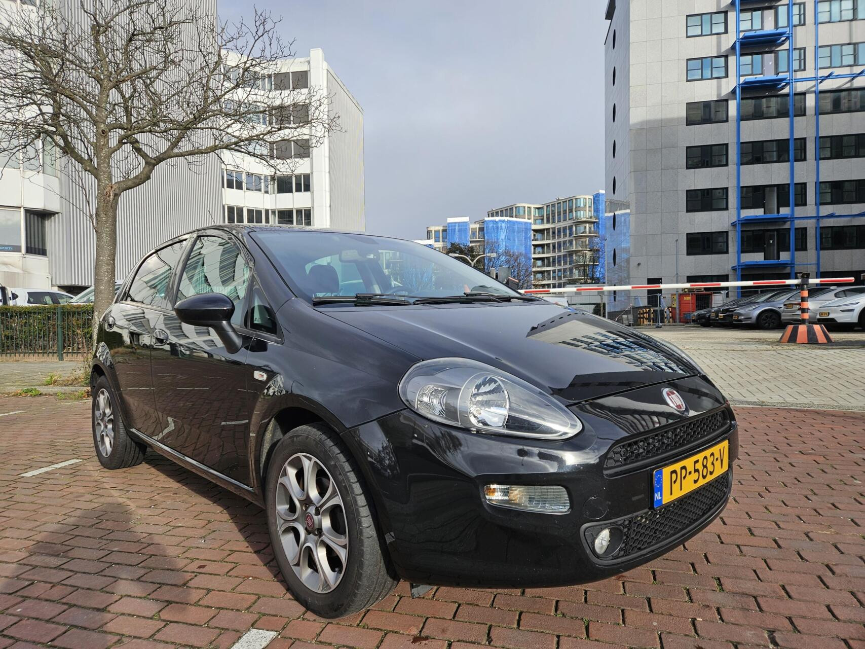 Hoofdafbeelding Fiat Punto