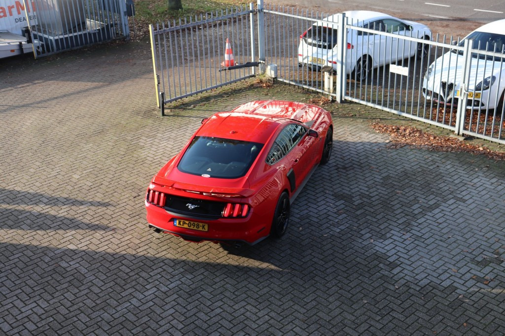 Hoofdafbeelding Ford Mustang