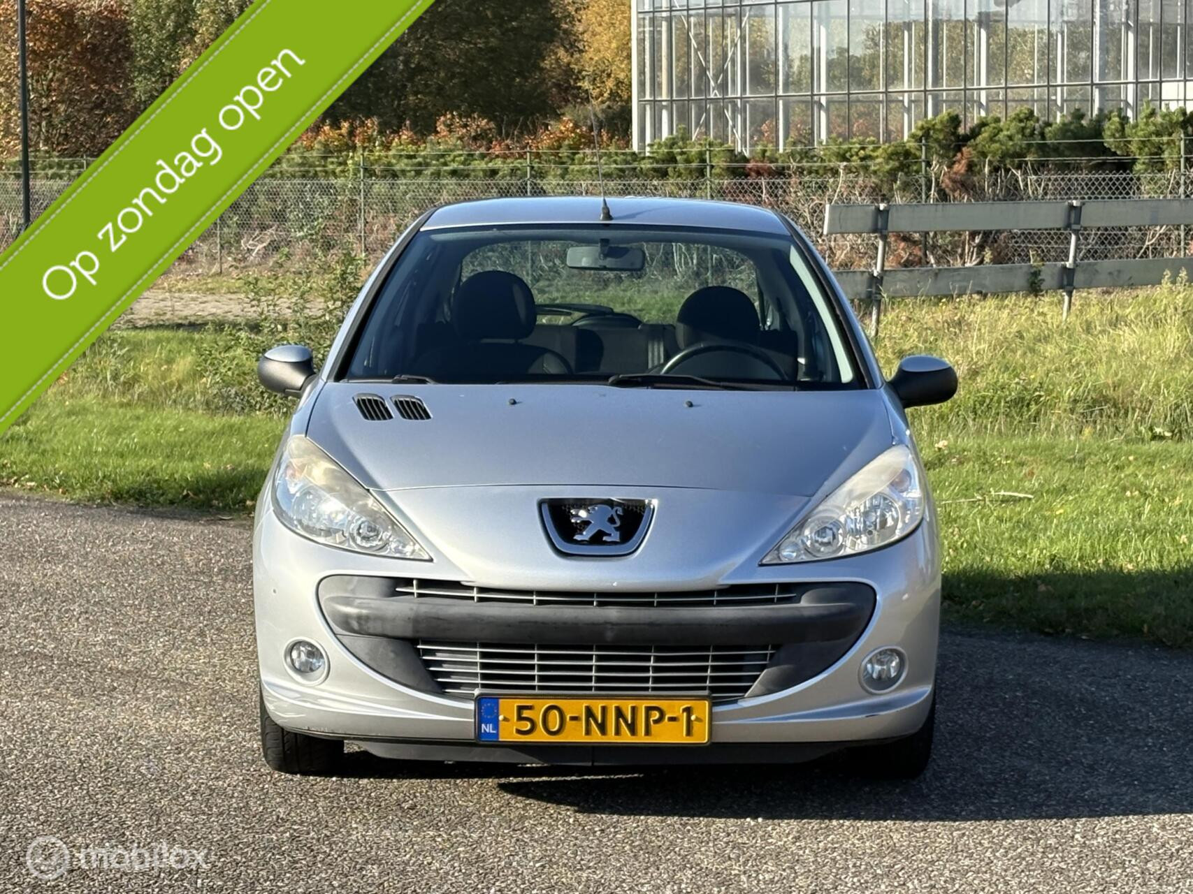 Hoofdafbeelding Peugeot 206