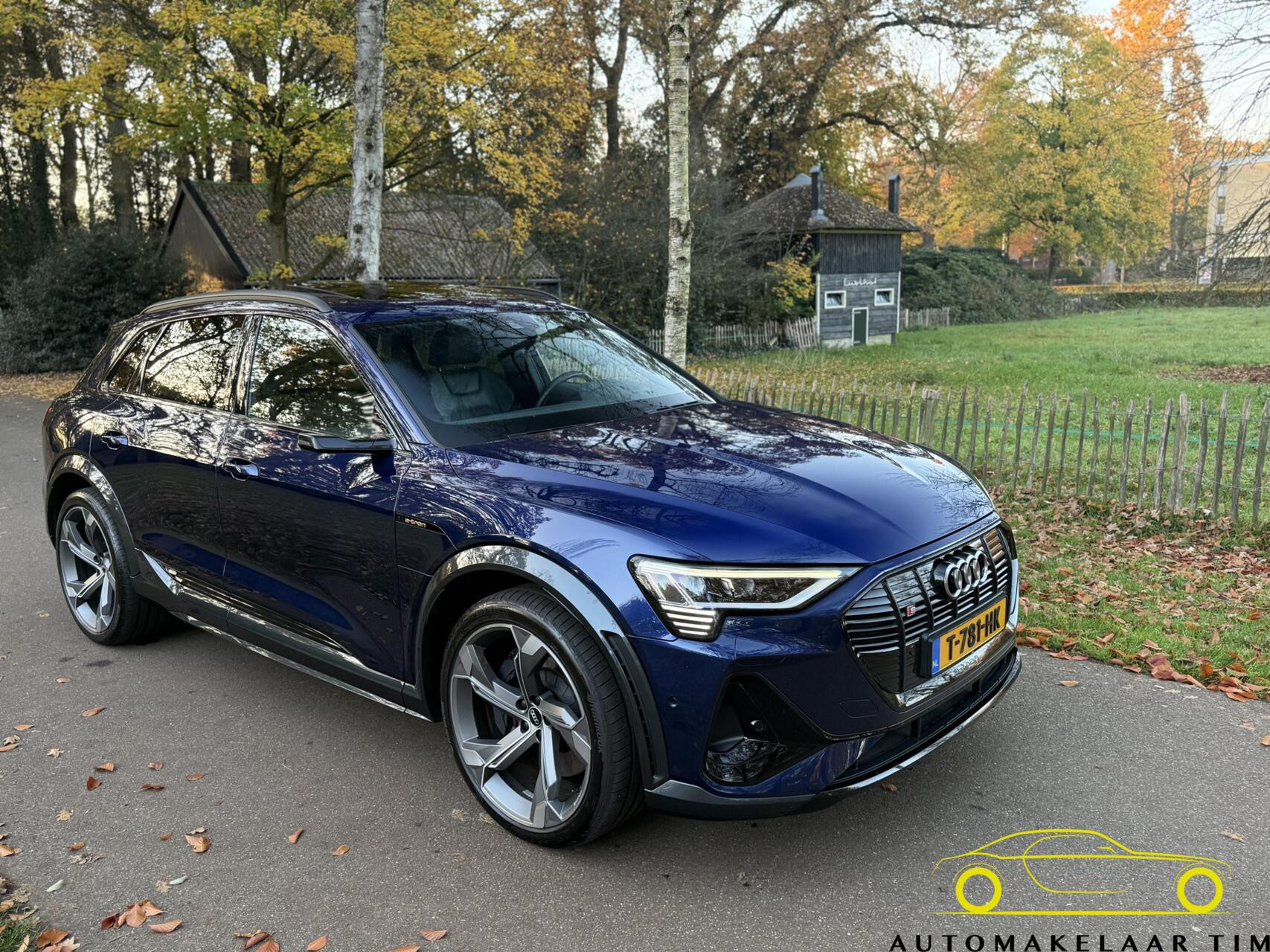 Hoofdafbeelding Audi e-tron