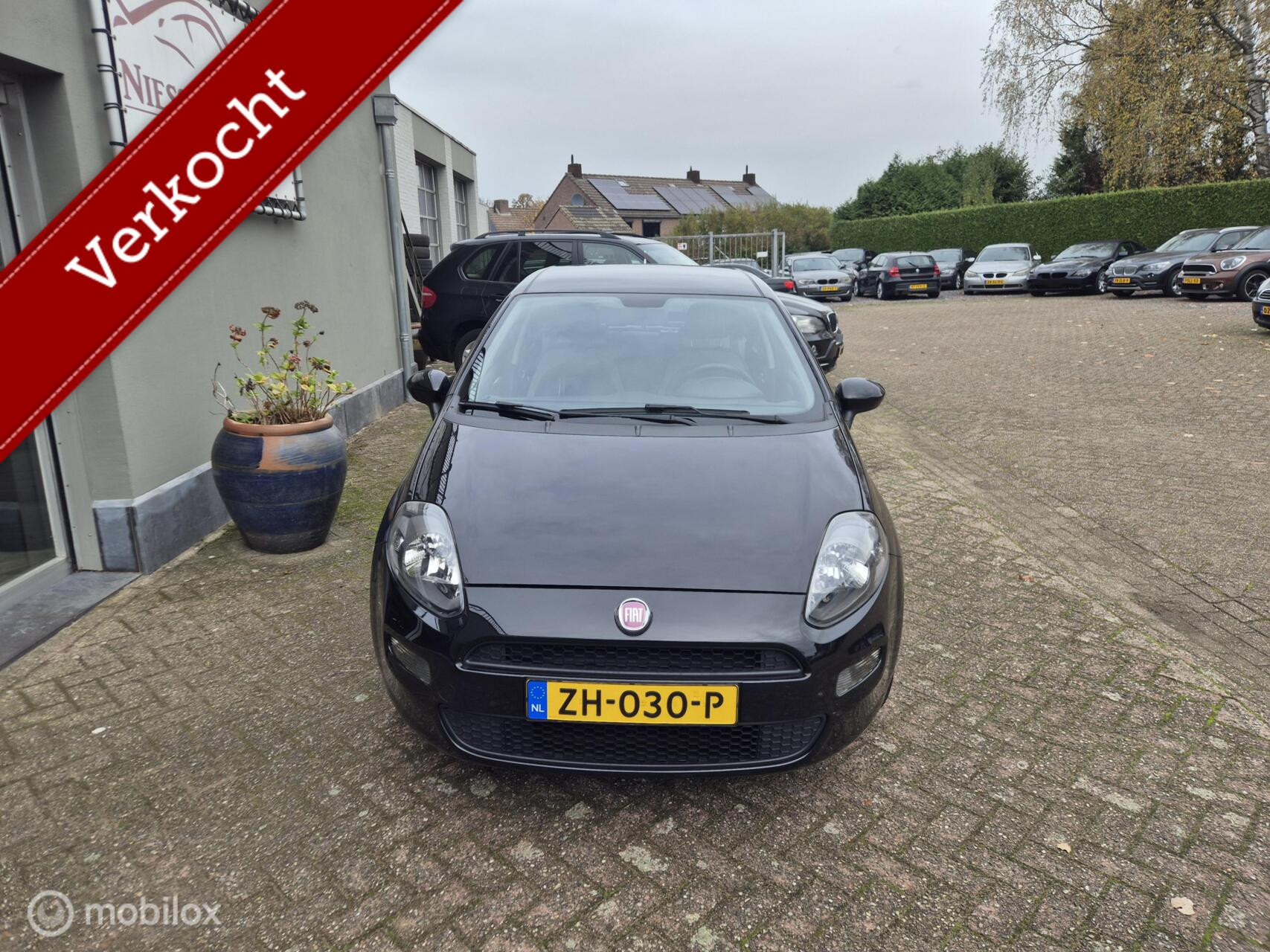 Hoofdafbeelding Fiat Punto