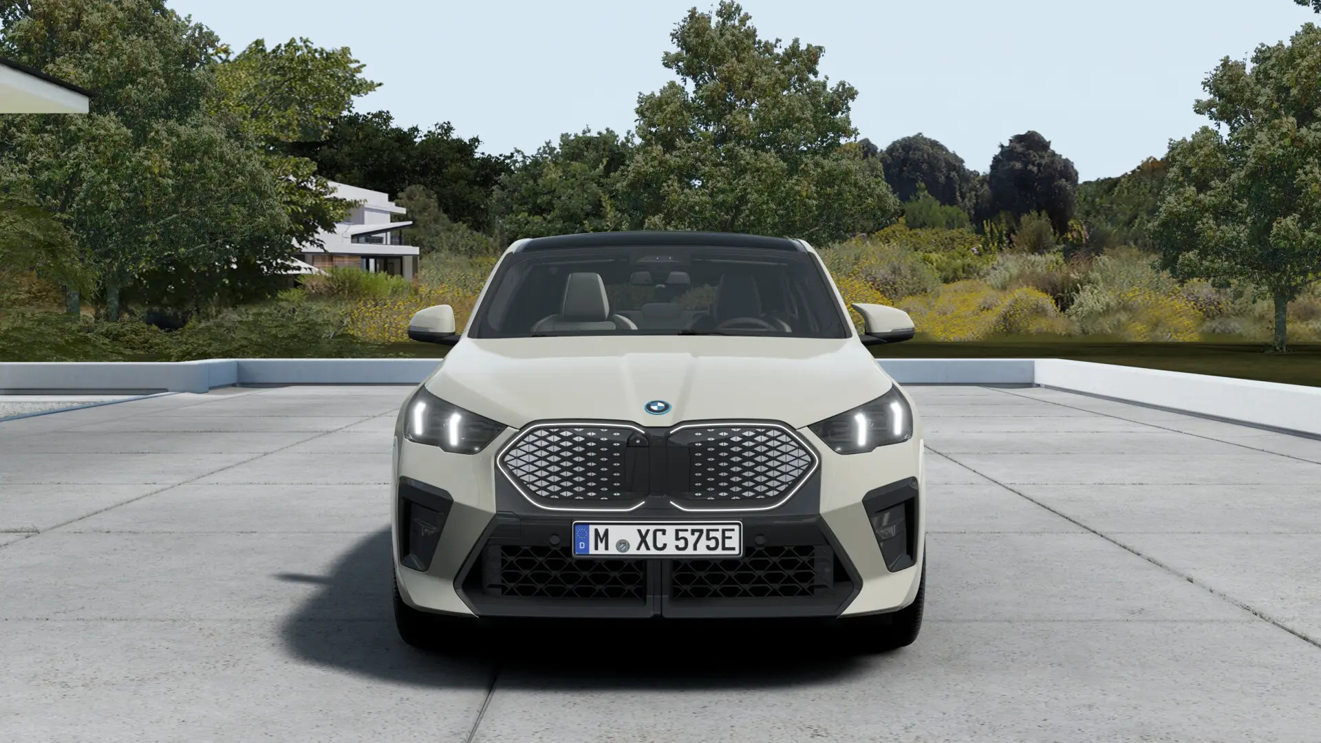 Hoofdafbeelding BMW iX2