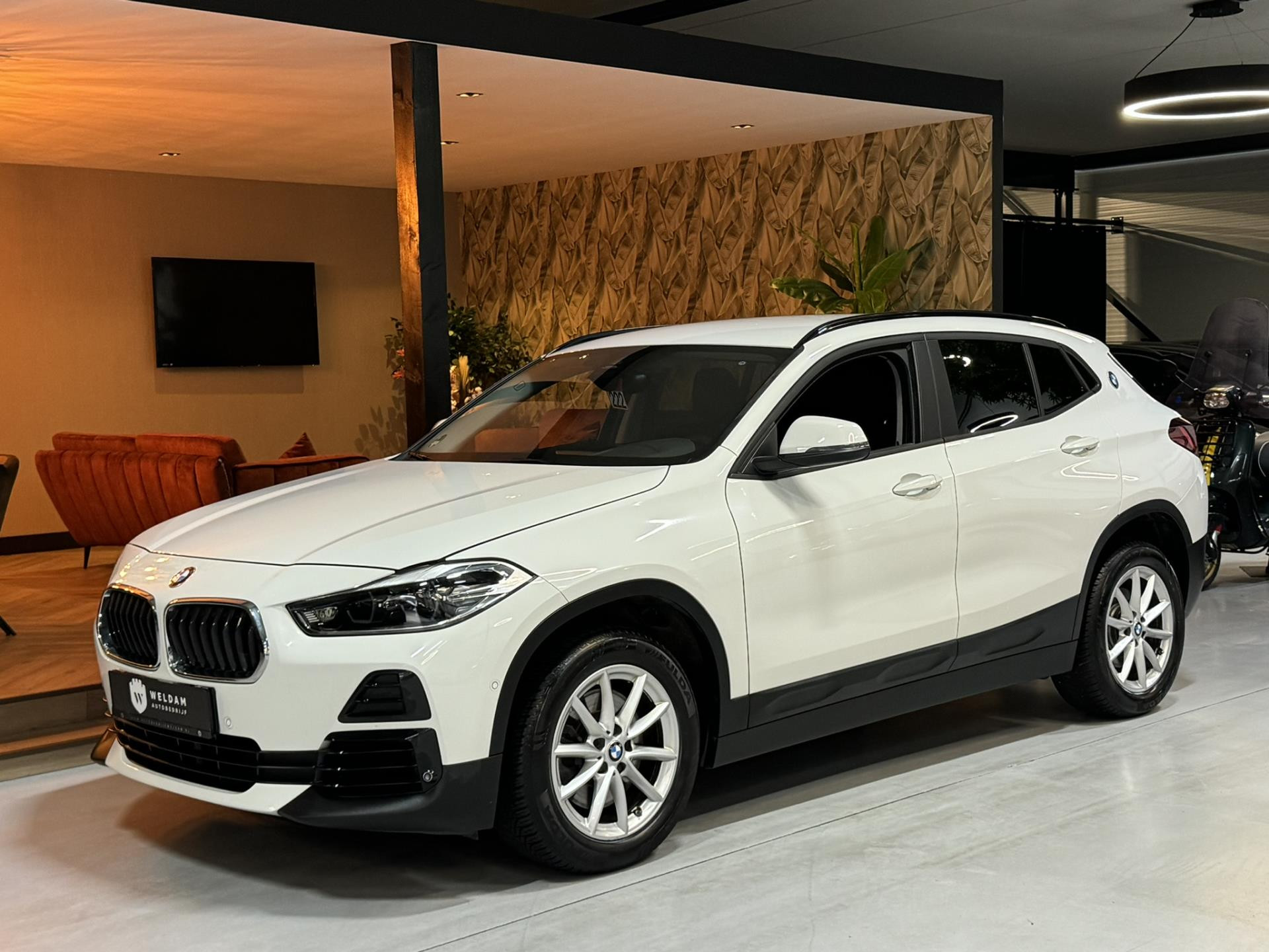 Hoofdafbeelding BMW X2