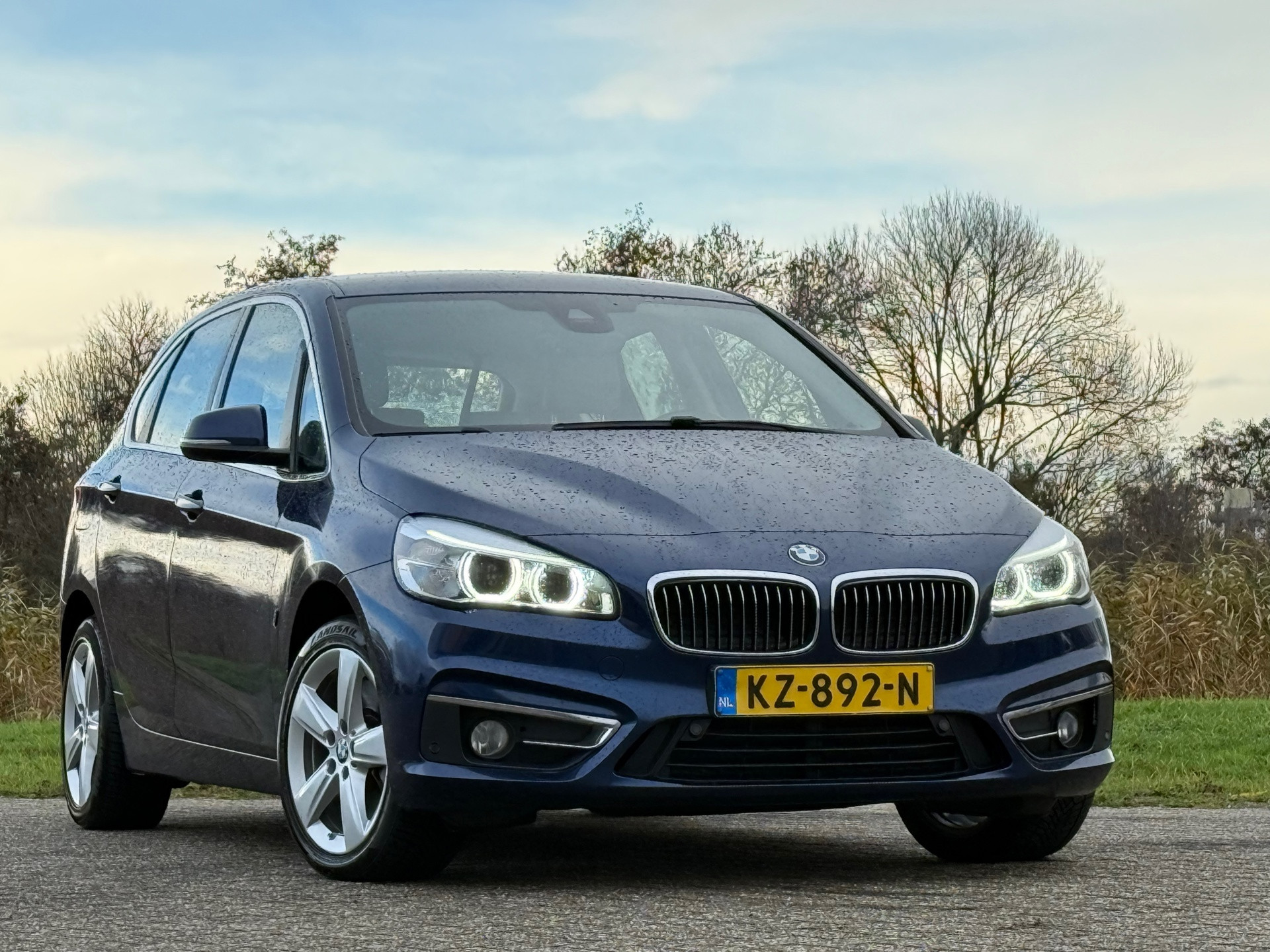 Hoofdafbeelding BMW 2 Serie