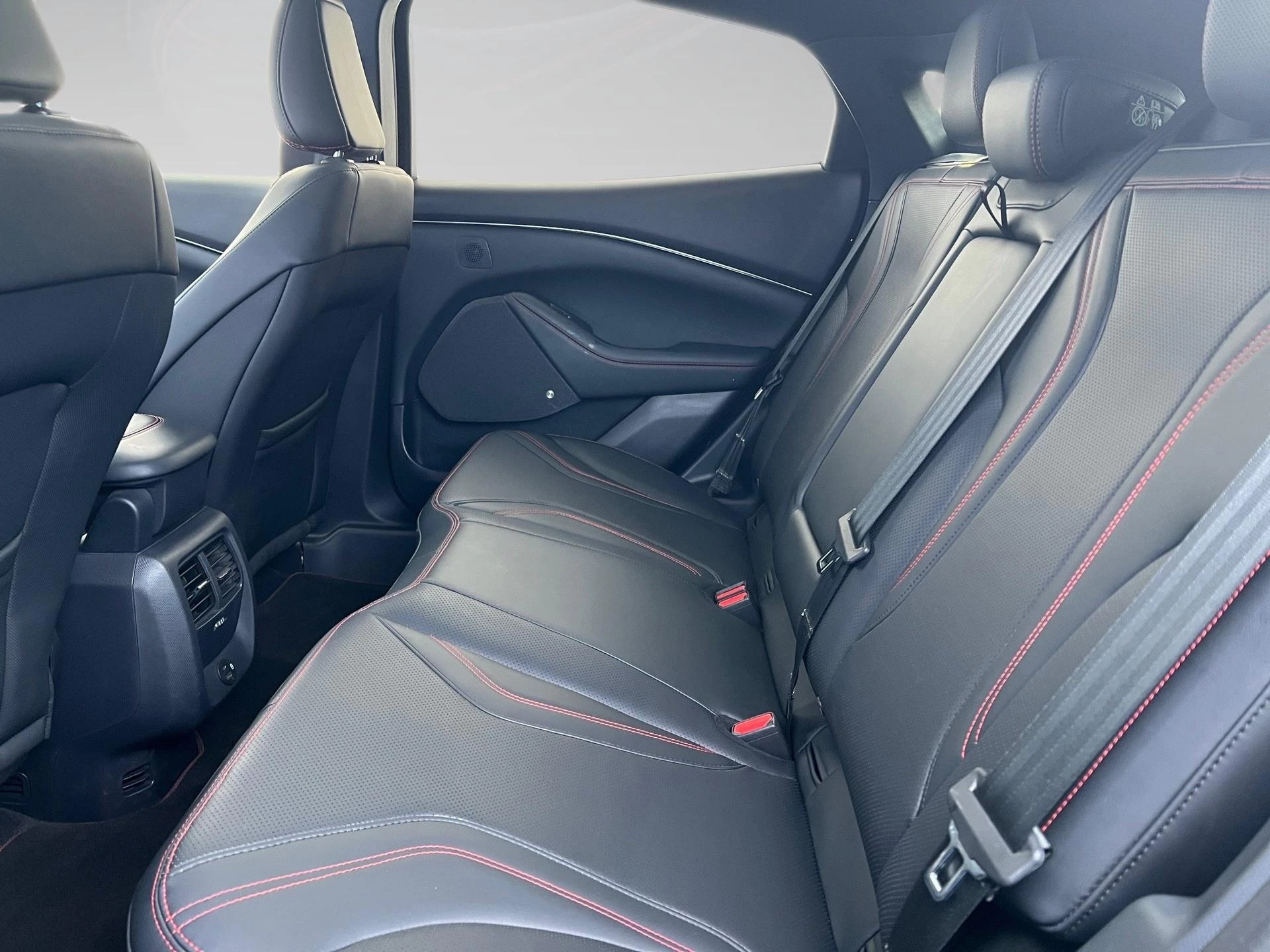 Ford-Mustang Mach-E-image-10