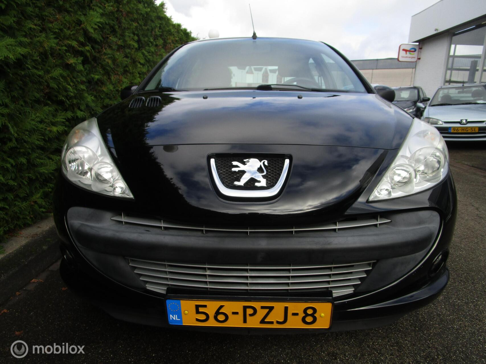Hoofdafbeelding Peugeot 206