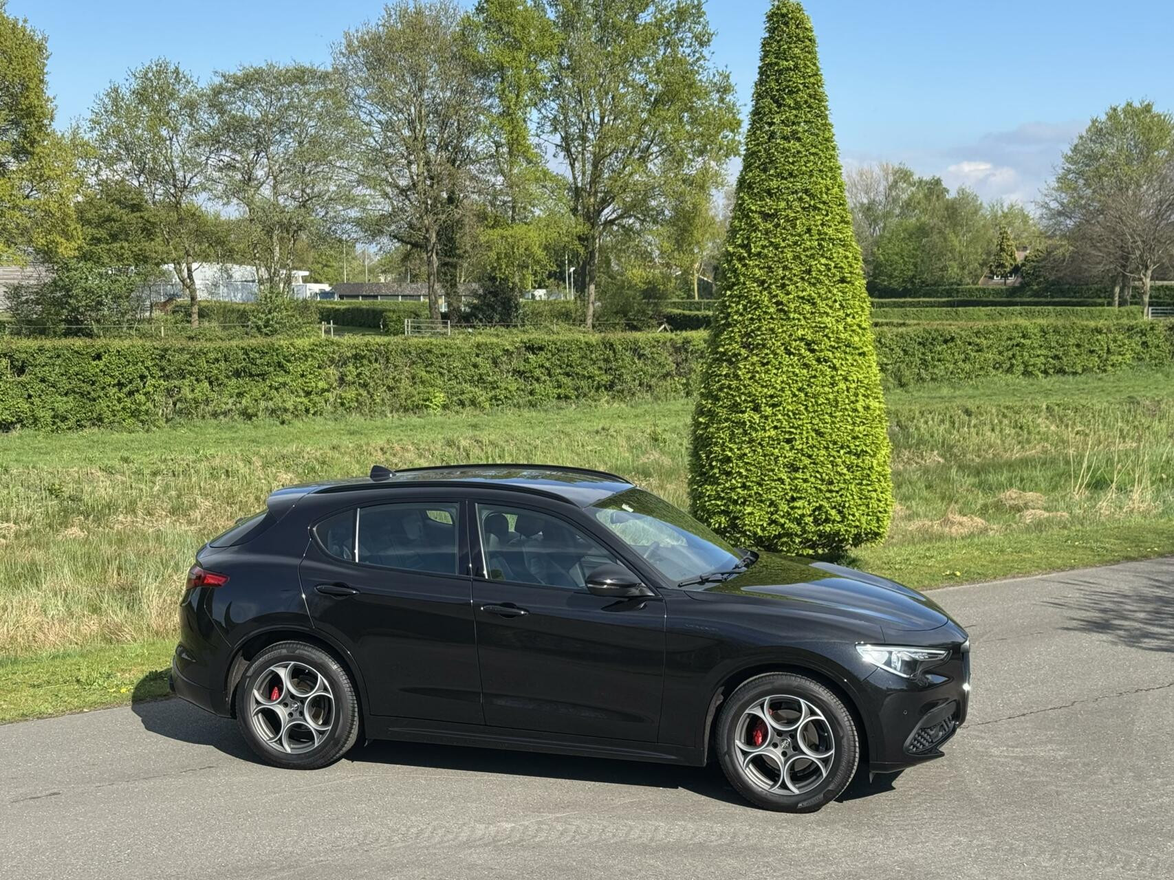 Hoofdafbeelding Alfa Romeo Stelvio