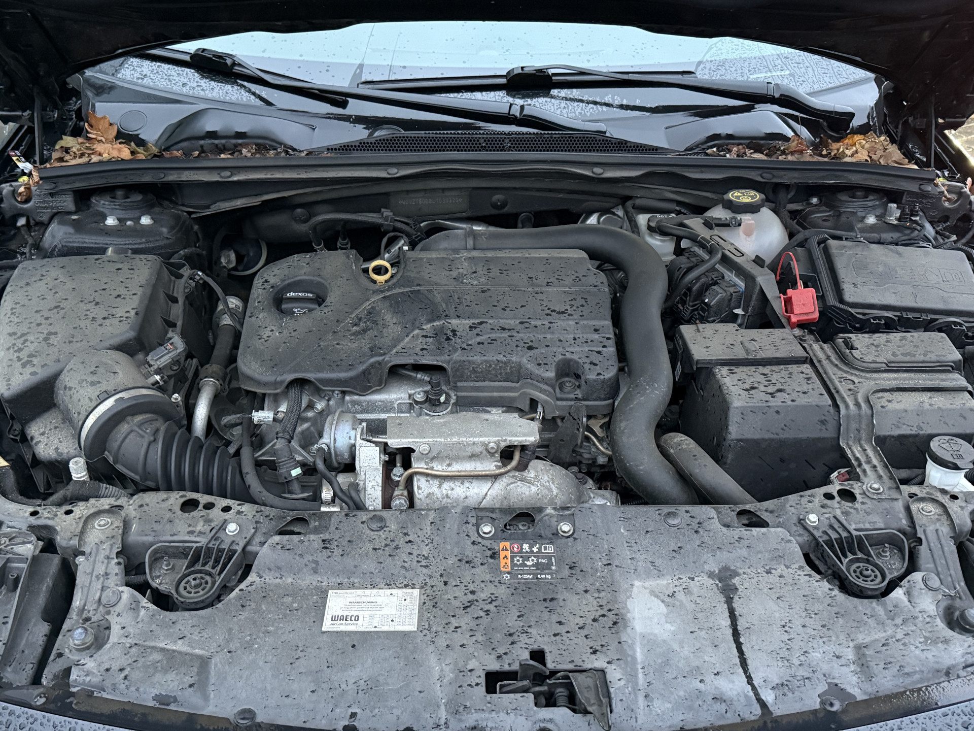 Hoofdafbeelding Opel Insignia