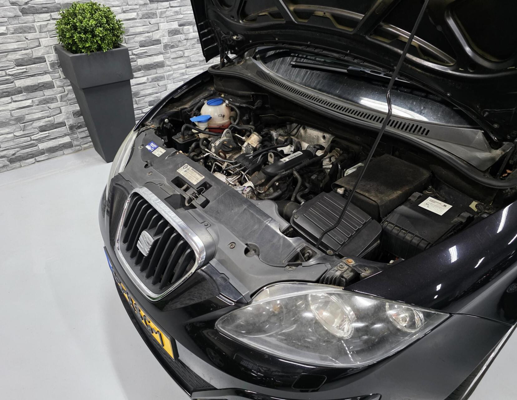 Hoofdafbeelding SEAT Altea