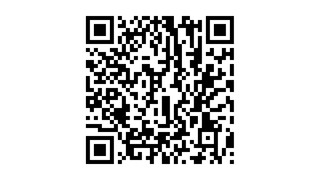 Audi A6 2.8 FSI PRO LINE PLUS AUT,1e EIGNR,DealerOH,Trhaak,Leer