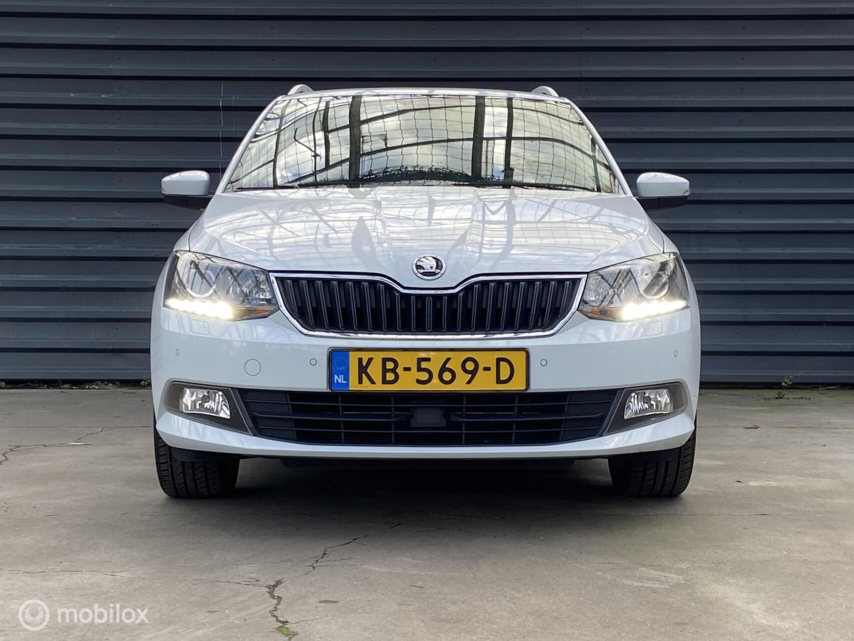 Hoofdafbeelding Škoda Fabia
