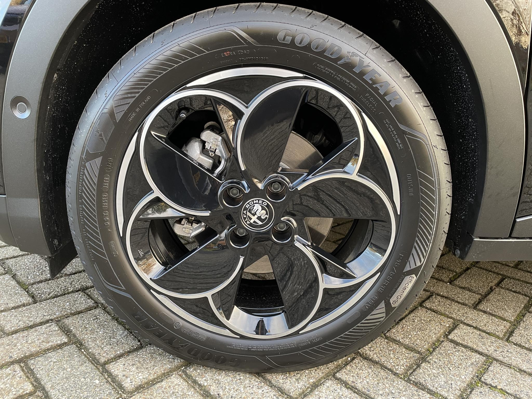 Hoofdafbeelding Alfa Romeo Junior