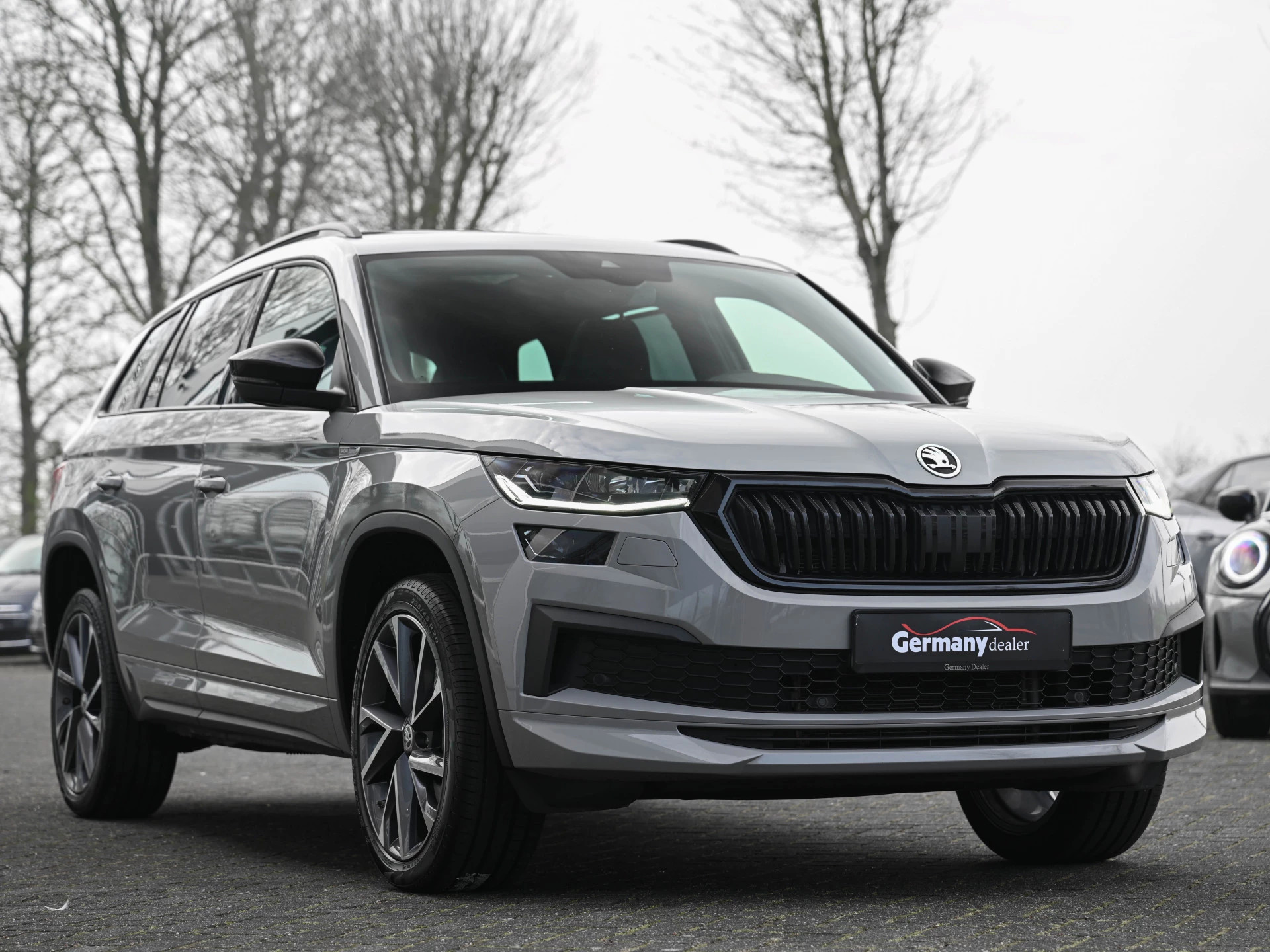 Hoofdafbeelding Škoda Kodiaq