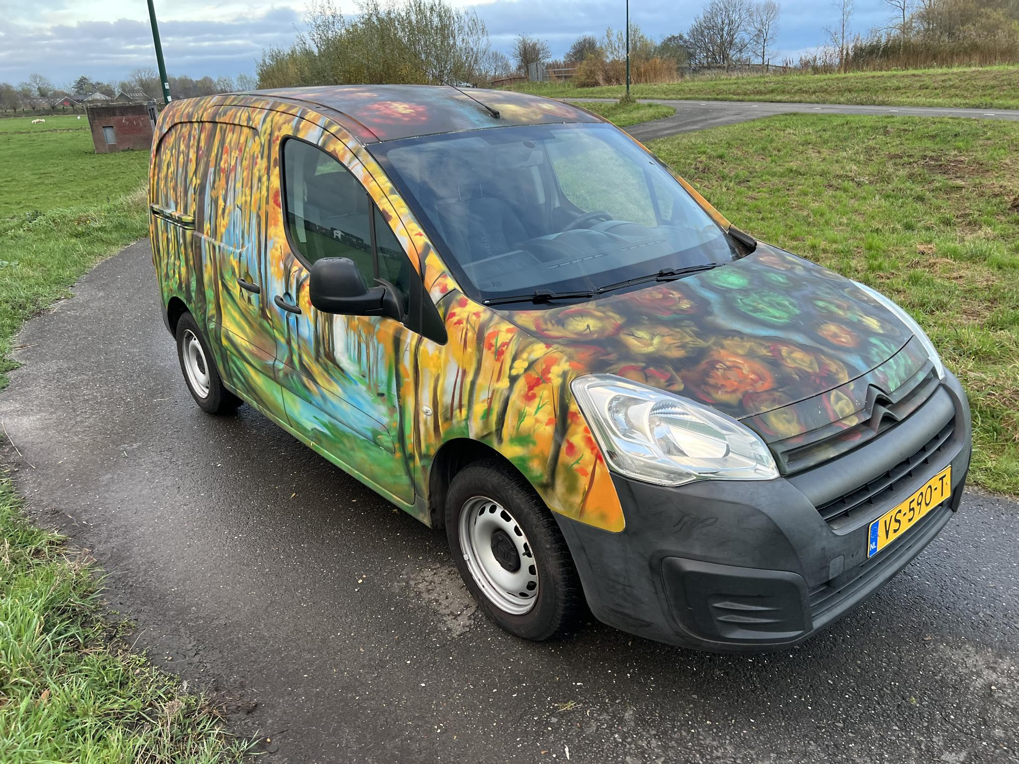 Hoofdafbeelding Citroën Berlingo