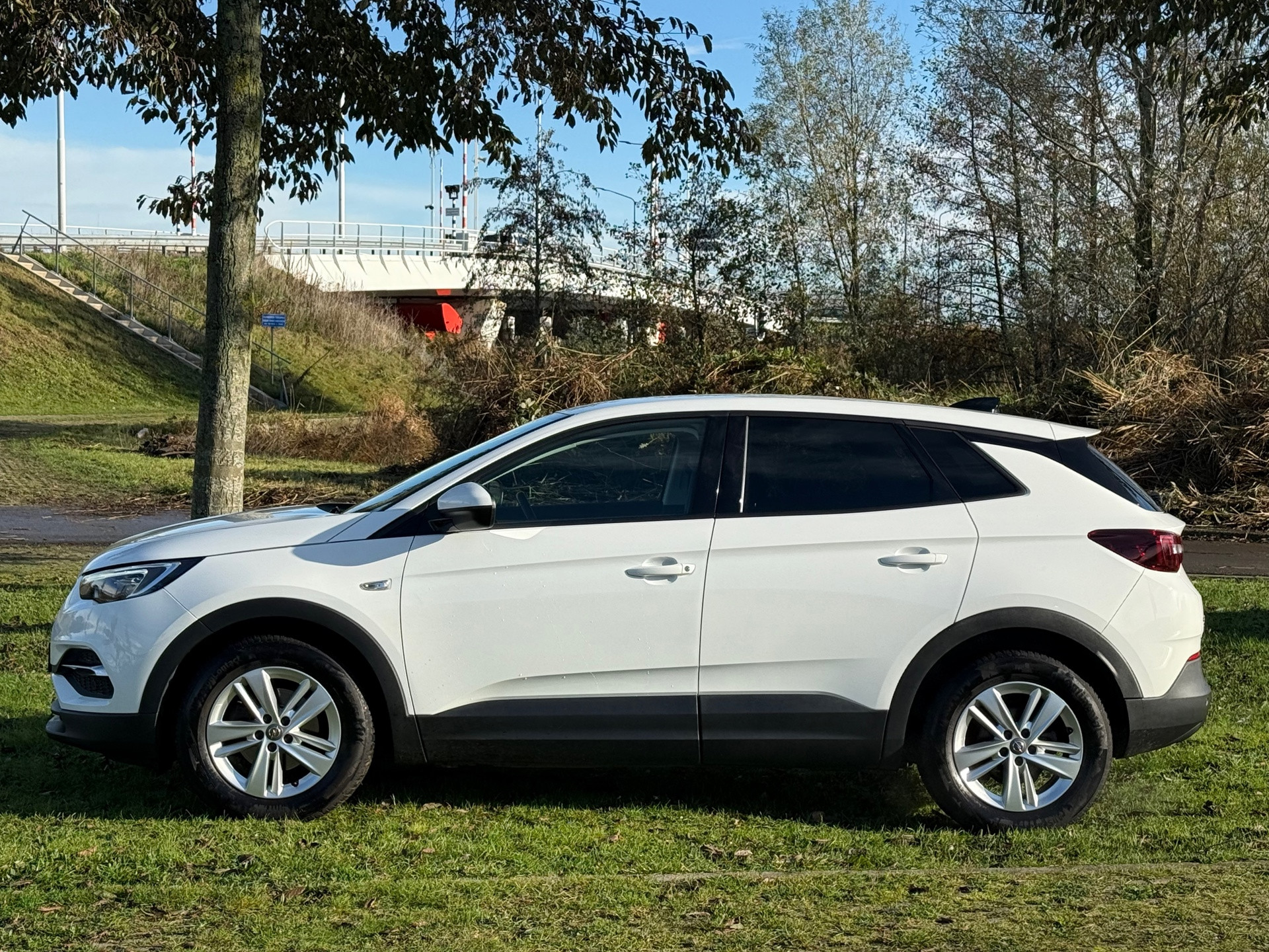 Hoofdafbeelding Opel Grandland X