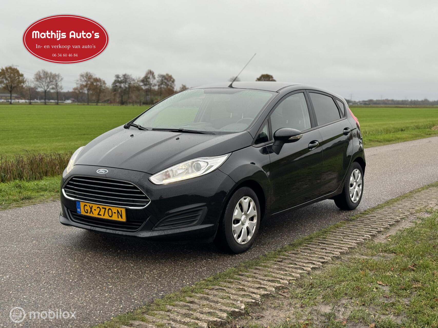 Hoofdafbeelding Ford Fiesta