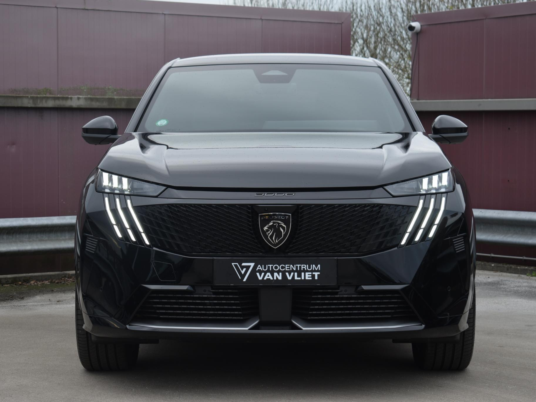 Hoofdafbeelding Peugeot e-3008