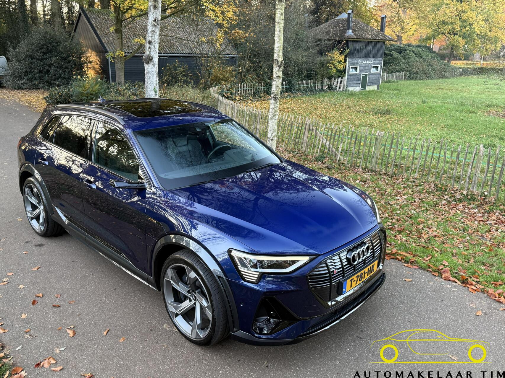 Hoofdafbeelding Audi e-tron