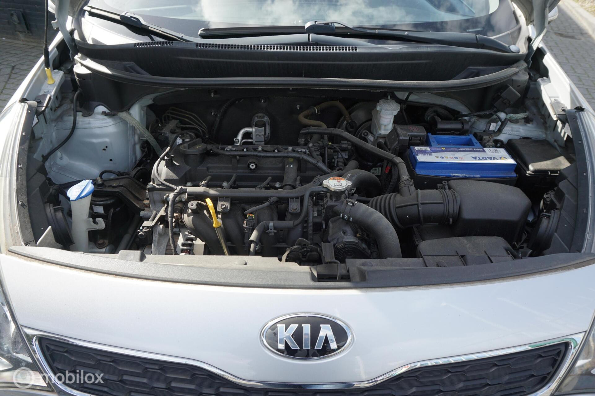 Hoofdafbeelding Kia Rio