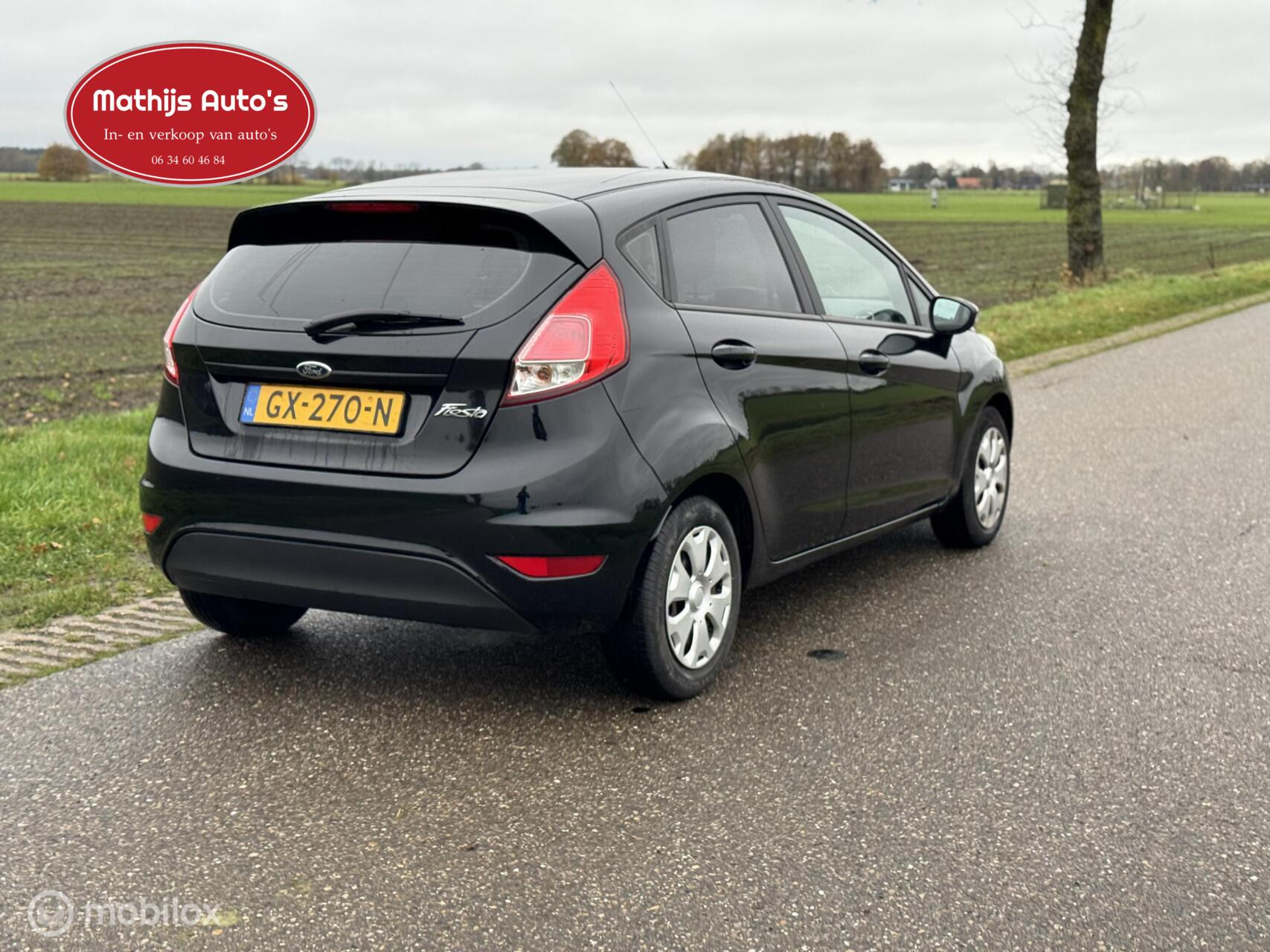 Hoofdafbeelding Ford Fiesta