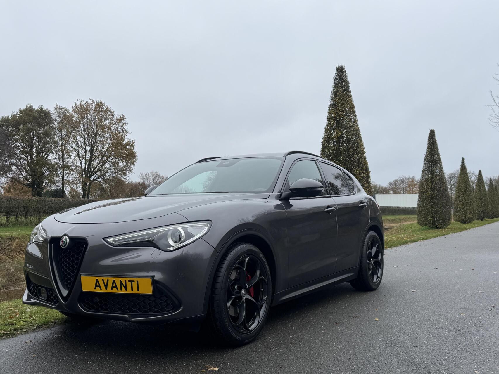 Hoofdafbeelding Alfa Romeo Stelvio