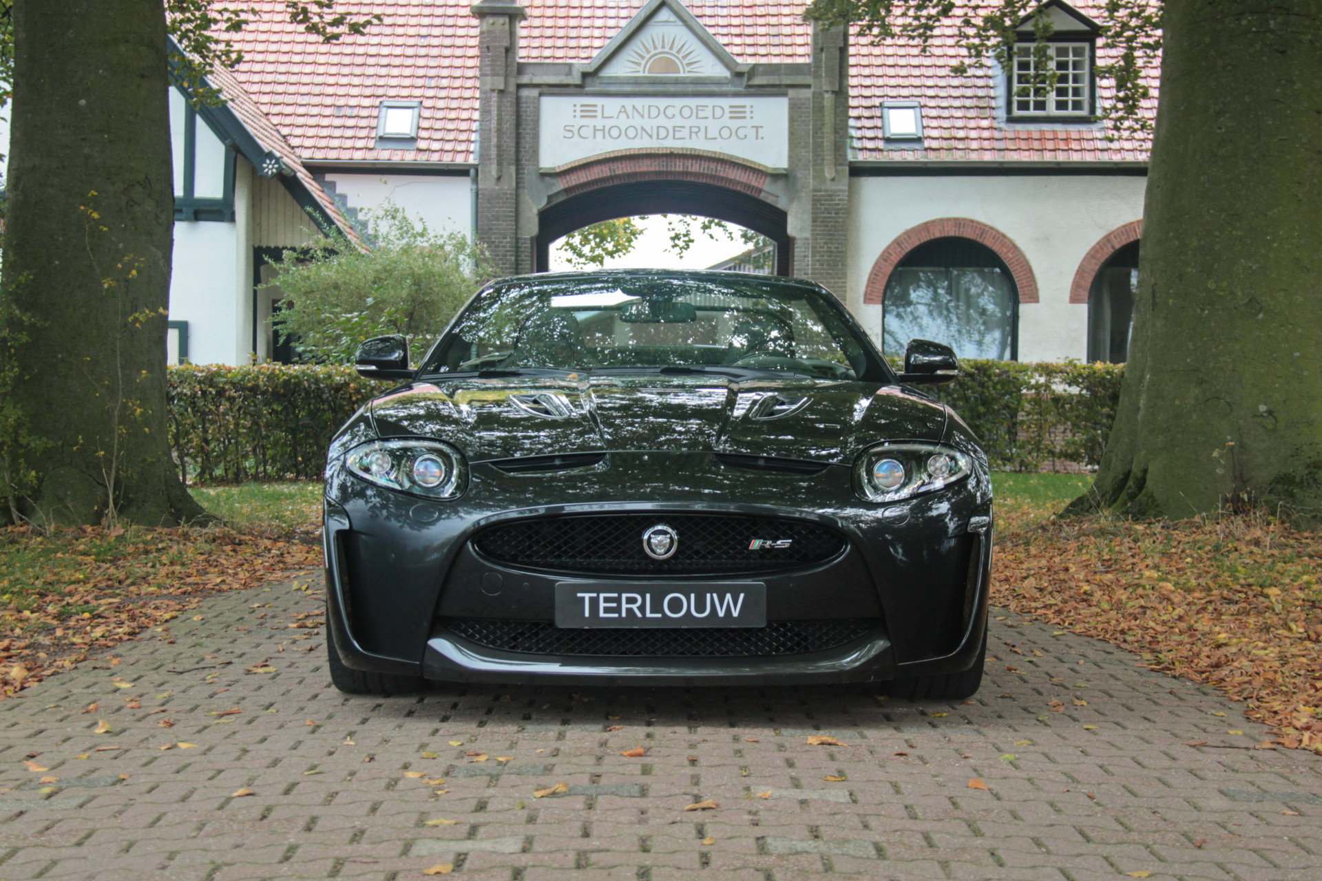 Hoofdafbeelding Jaguar XK