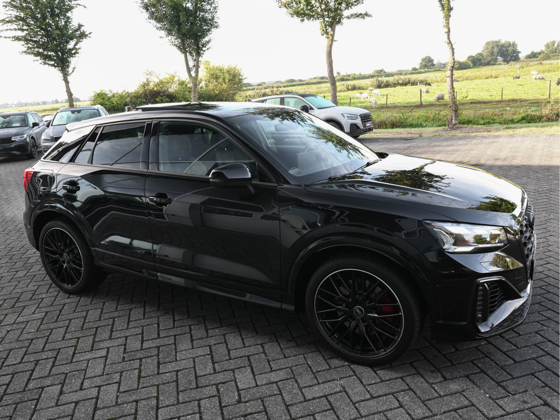 Hoofdafbeelding Audi SQ2