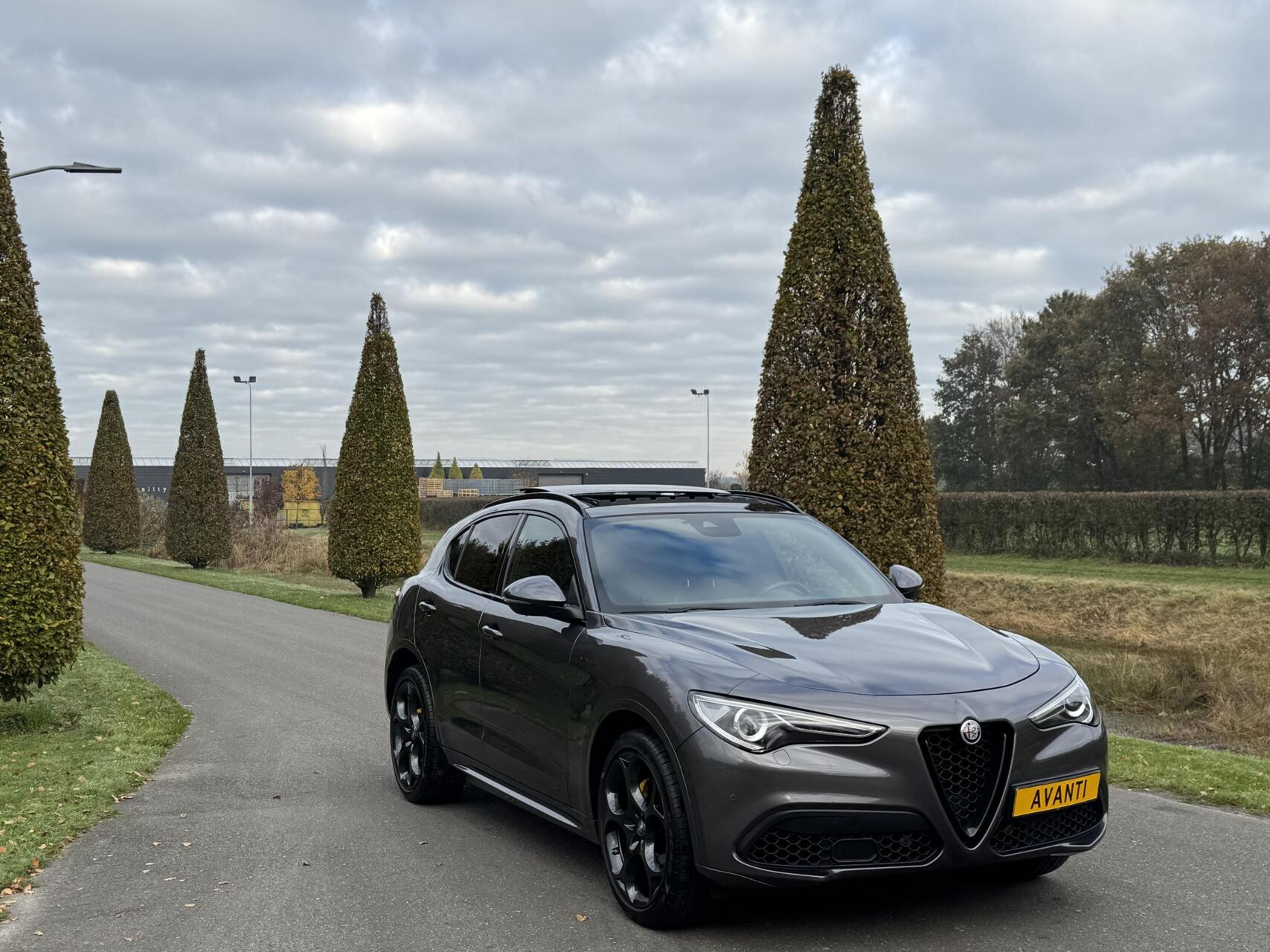 Hoofdafbeelding Alfa Romeo Stelvio