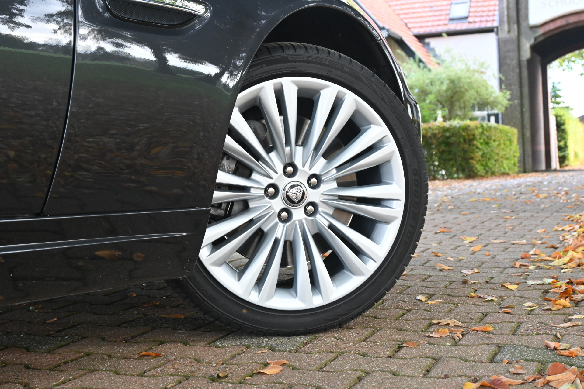 Hoofdafbeelding Jaguar XK