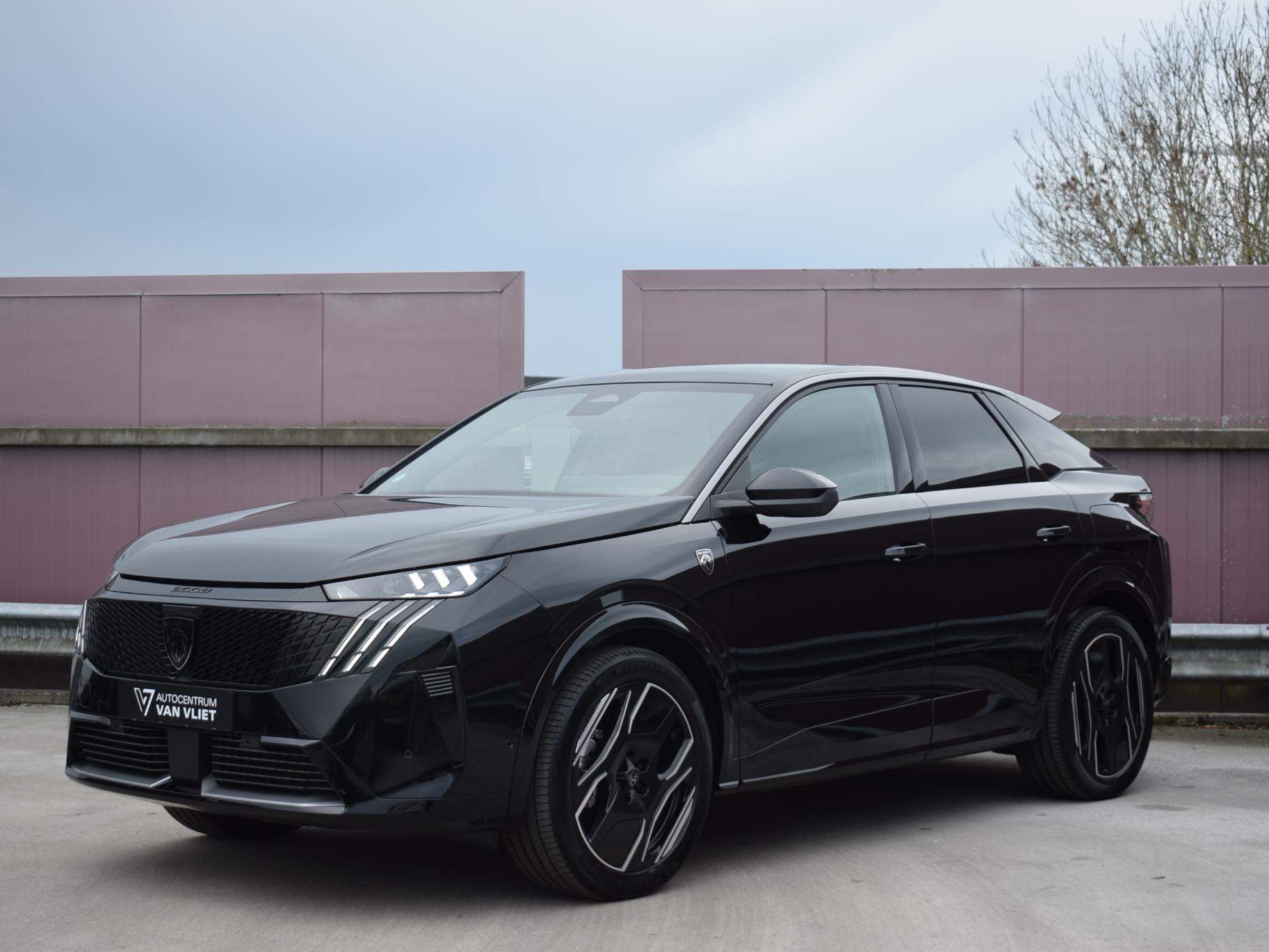 Hoofdafbeelding Peugeot e-3008