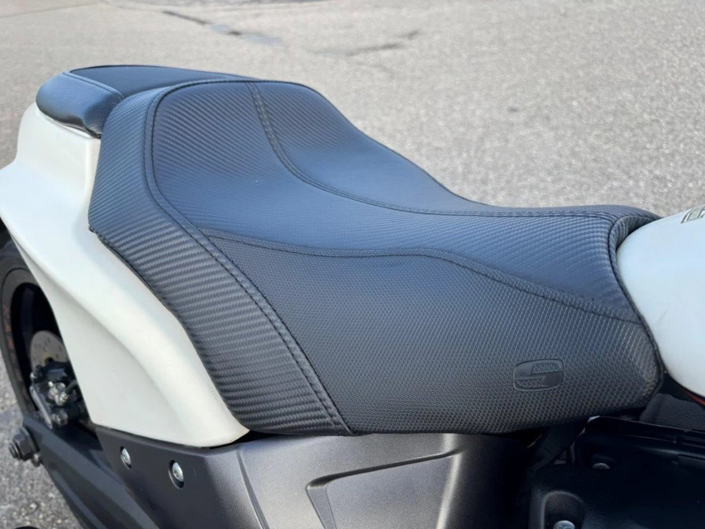 Hoofdafbeelding Harley-Davidson Softail