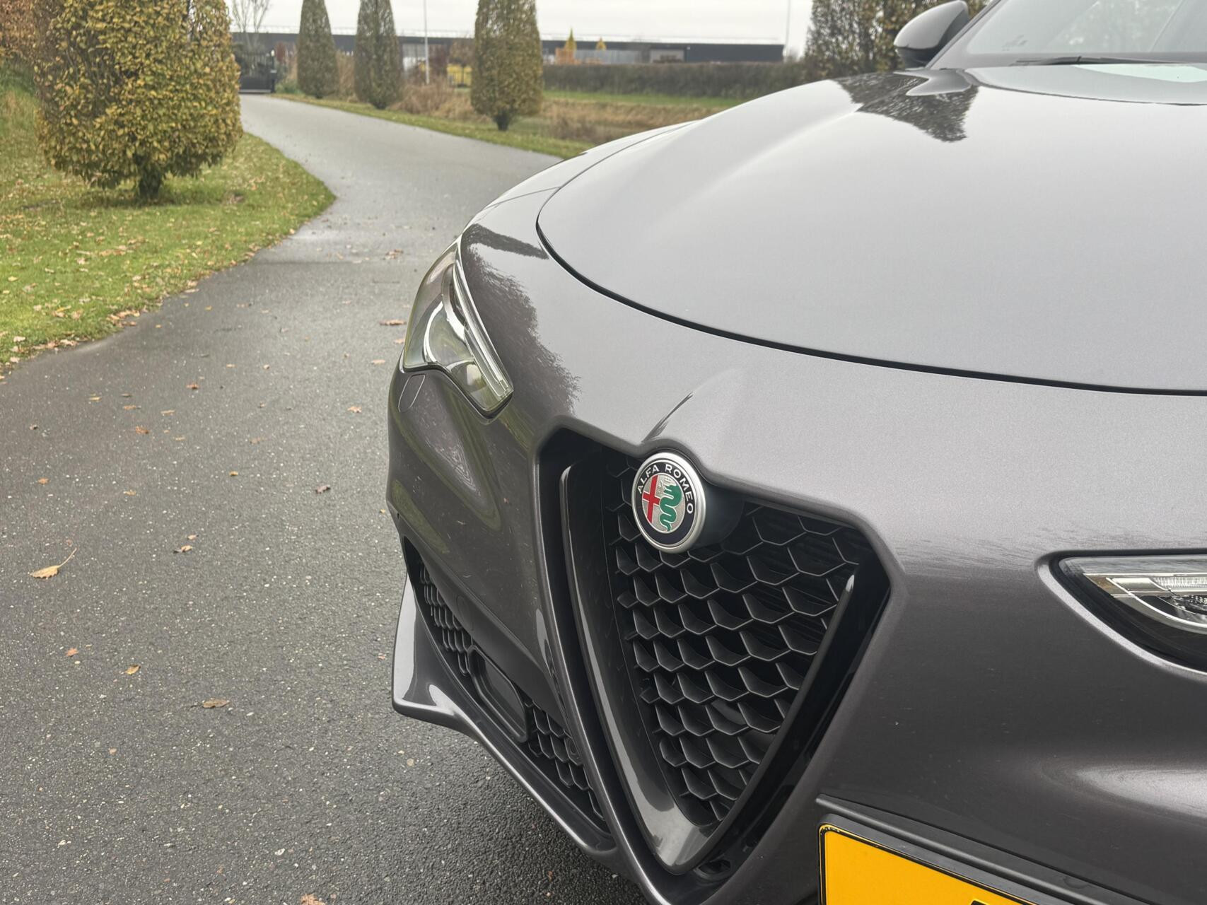 Hoofdafbeelding Alfa Romeo Stelvio