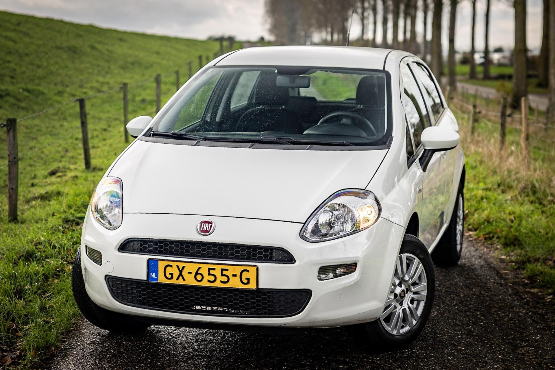 Hoofdafbeelding Fiat Punto