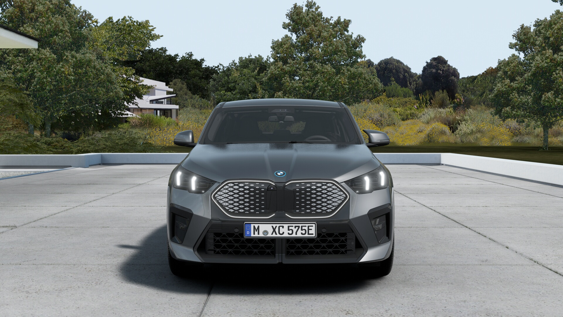 Hoofdafbeelding BMW iX2