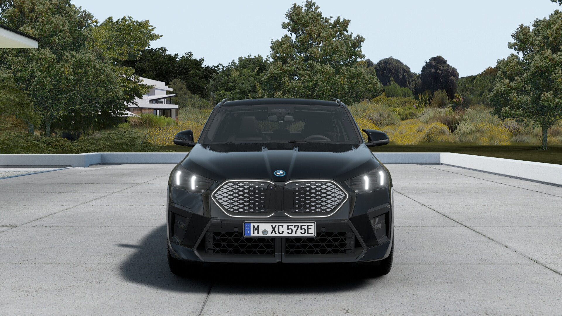 Hoofdafbeelding BMW iX2