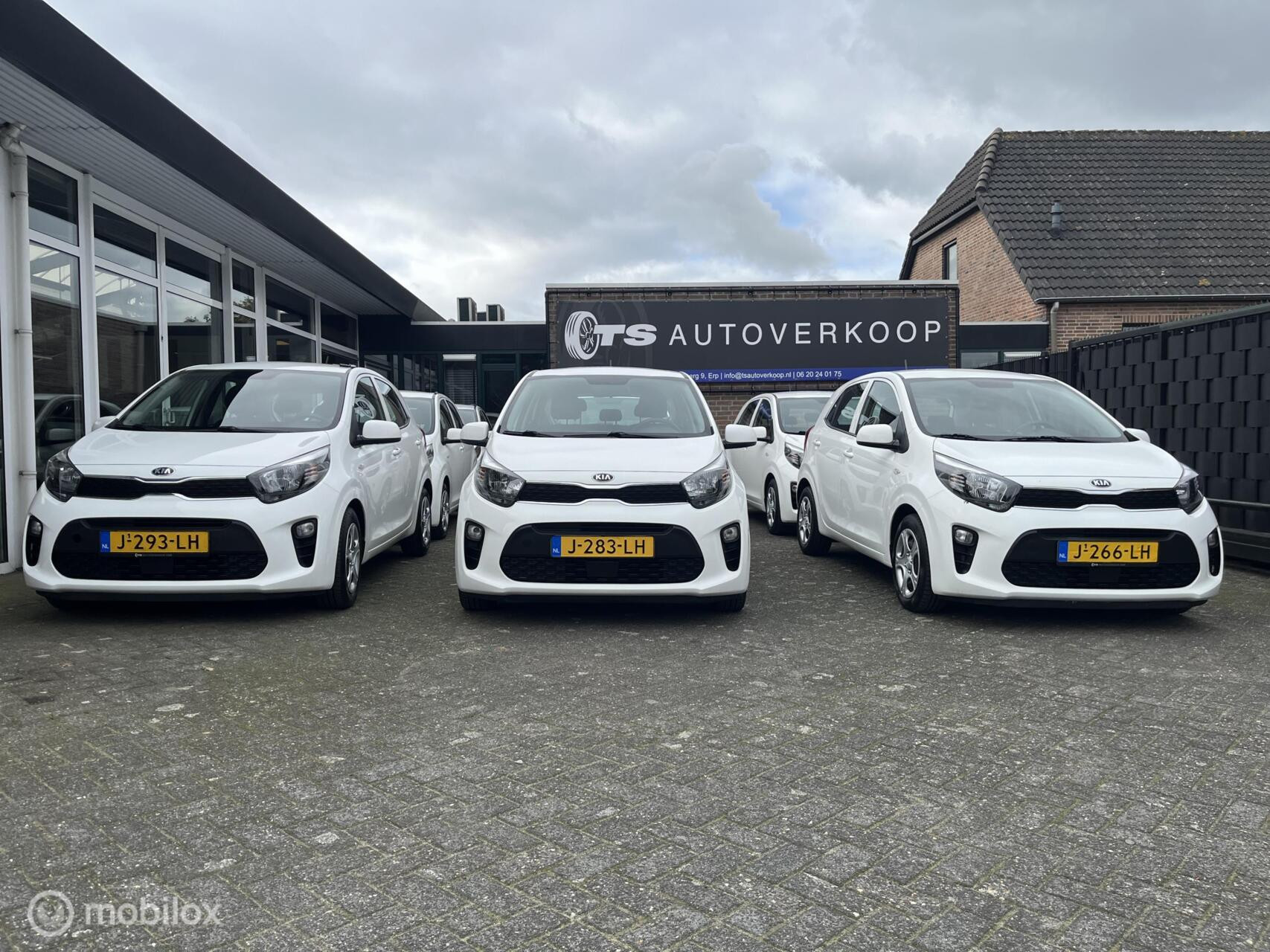 Hoofdafbeelding Kia Picanto