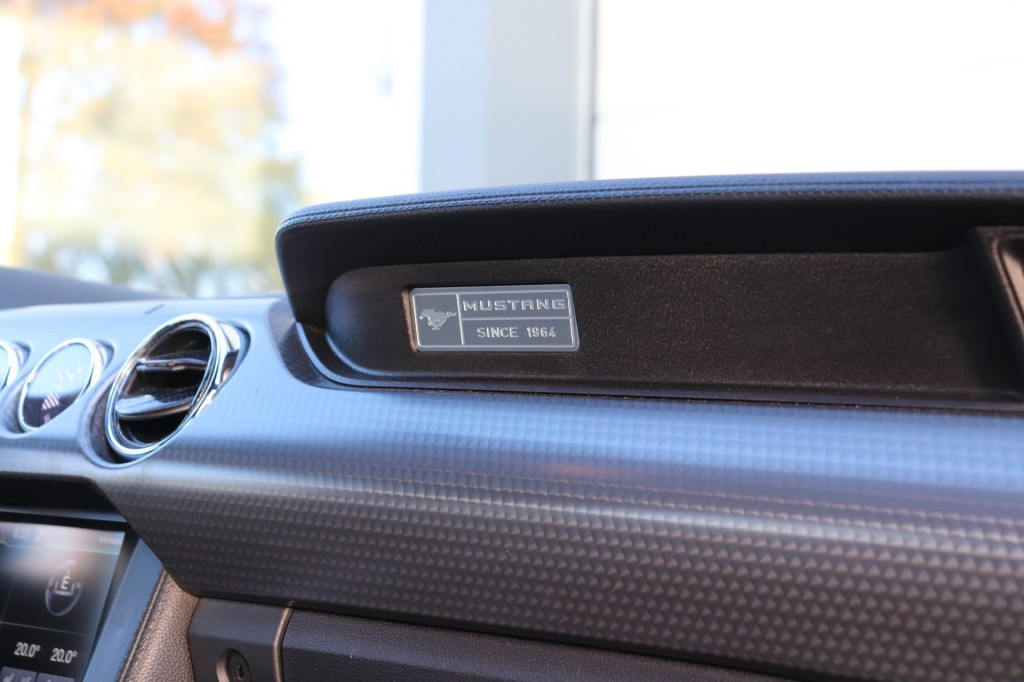 Hoofdafbeelding Ford Mustang