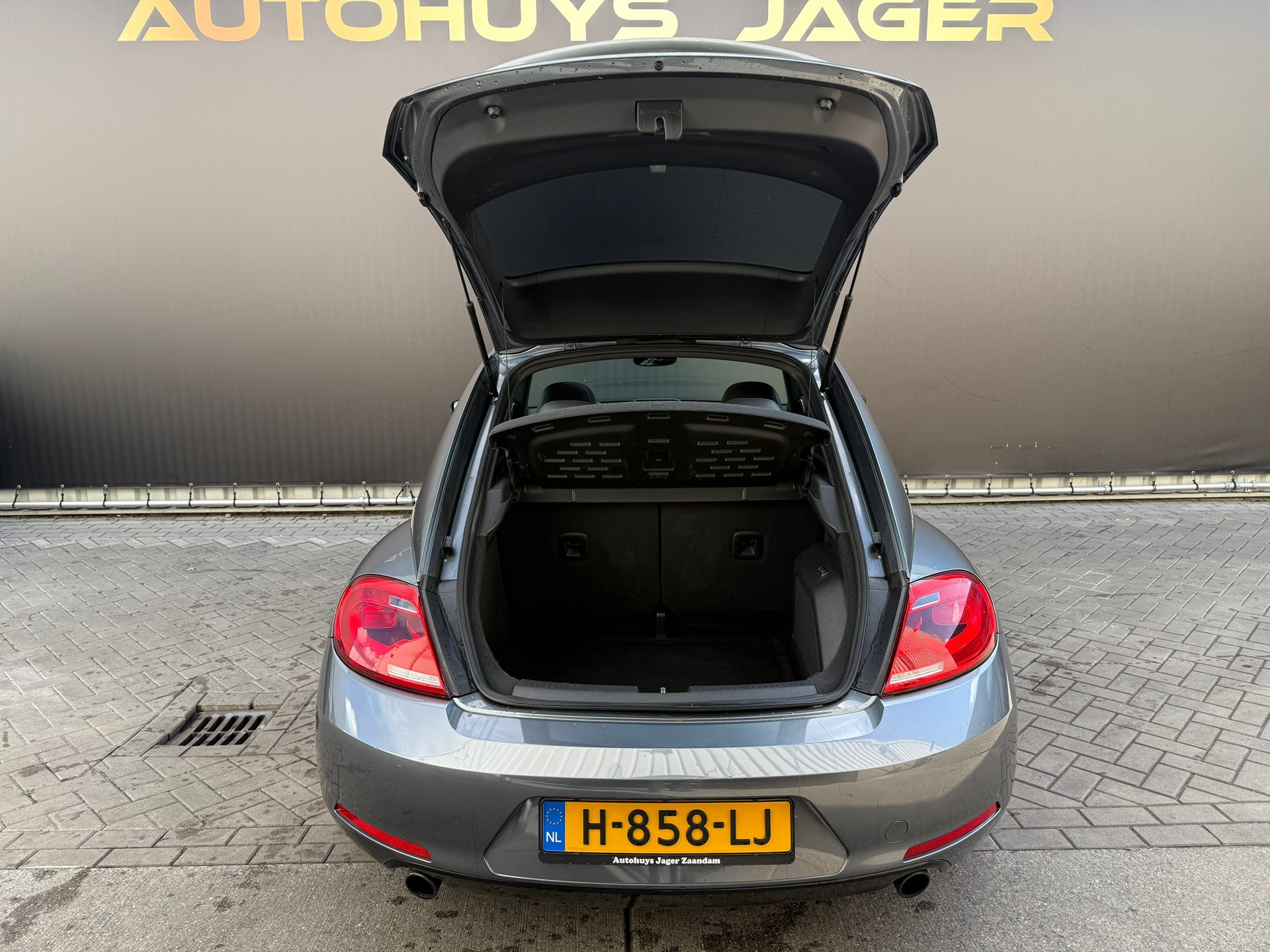 Hoofdafbeelding Volkswagen Beetle