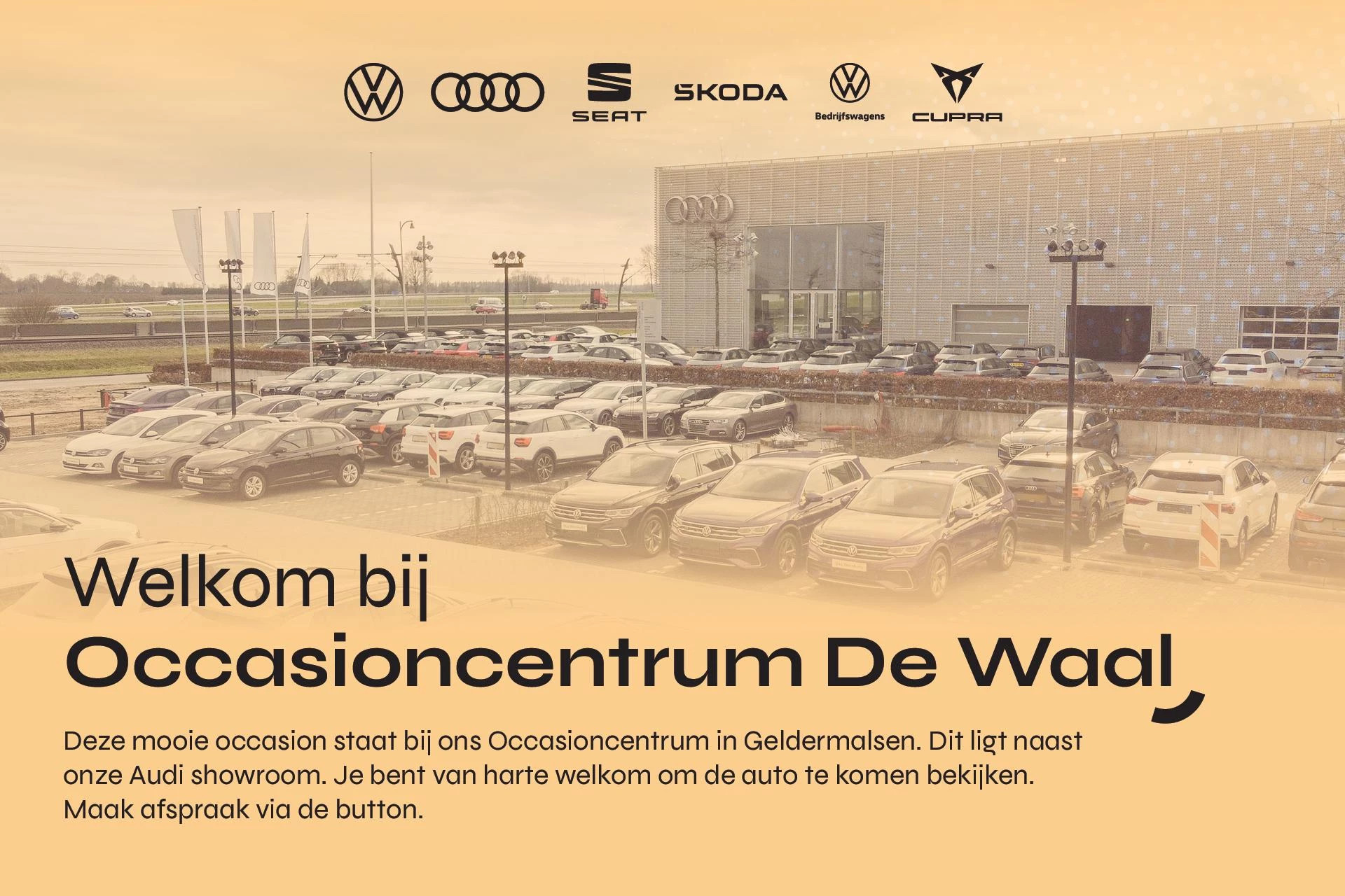 Hoofdafbeelding CUPRA Terramar