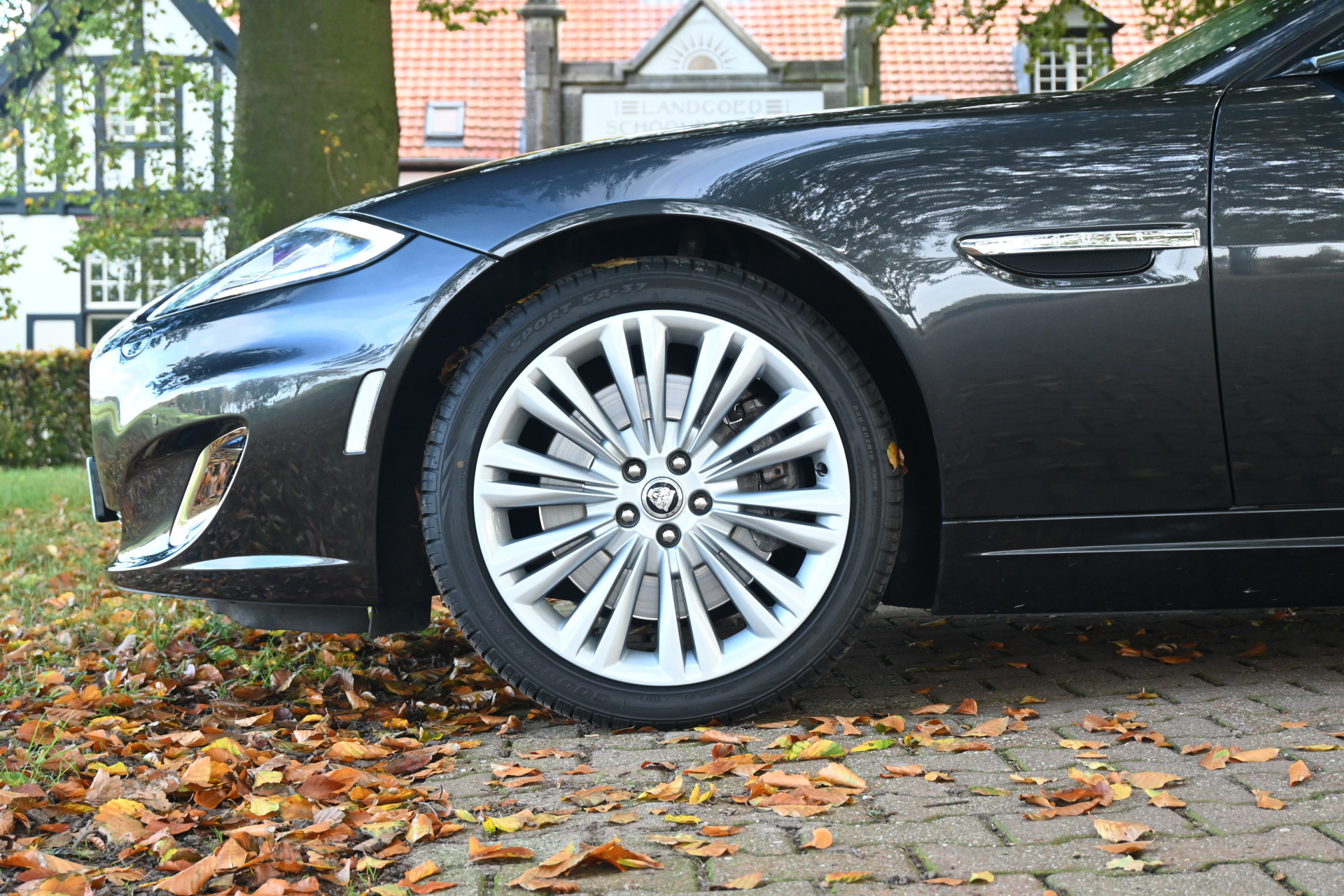 Hoofdafbeelding Jaguar XK