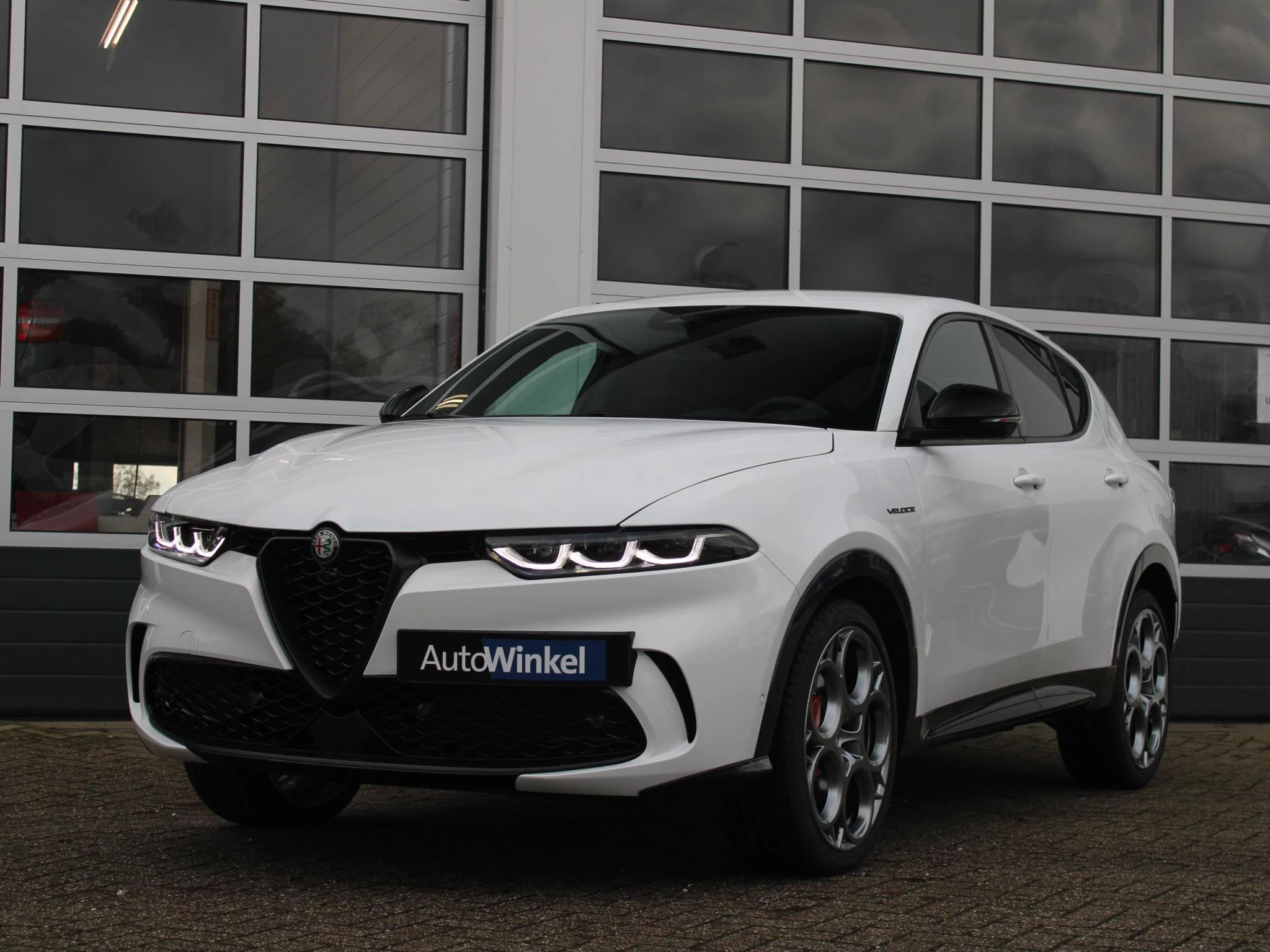 Hoofdafbeelding Alfa Romeo Tonale