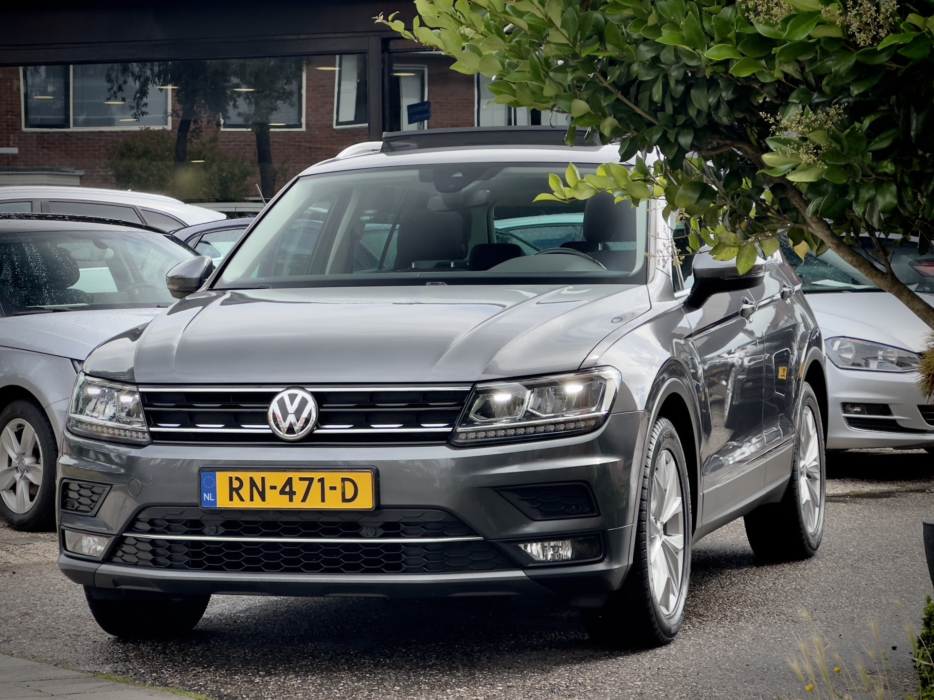 Hoofdafbeelding Volkswagen Tiguan