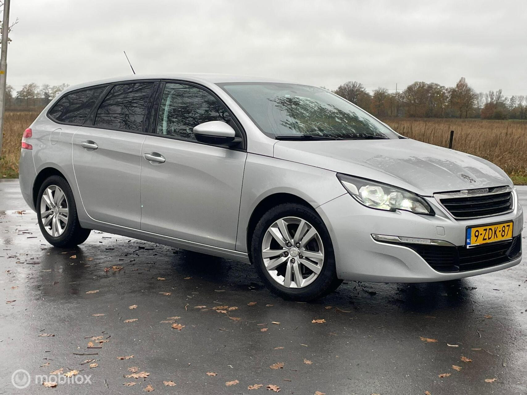 Hoofdafbeelding Peugeot 308