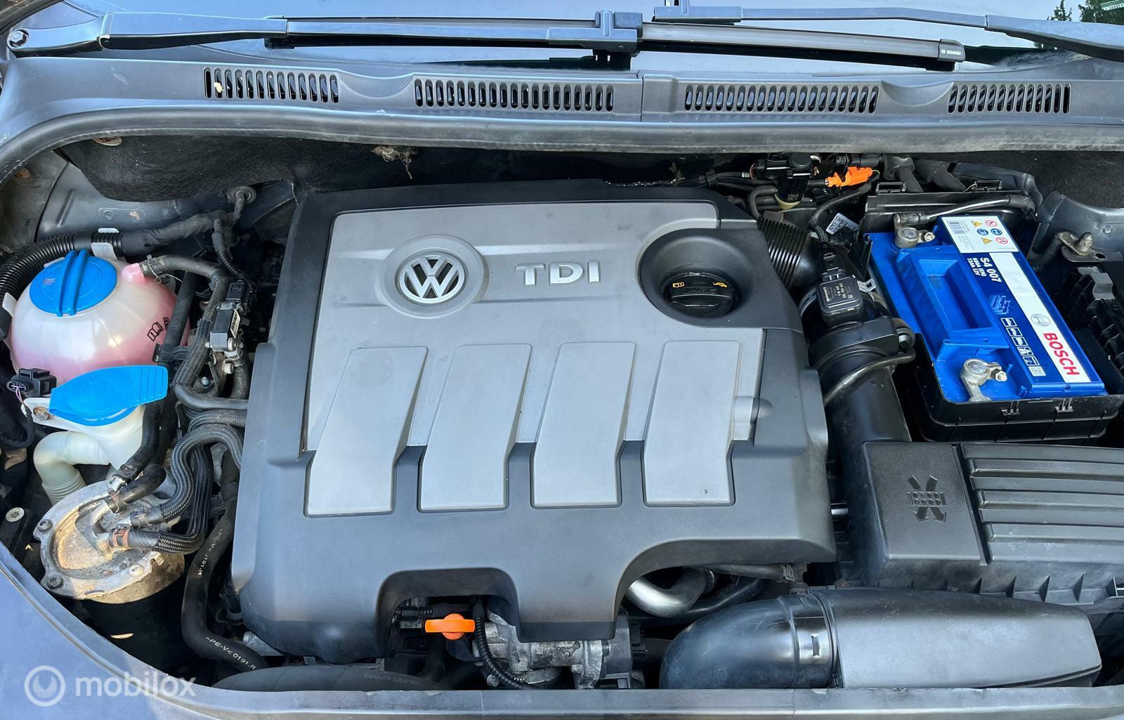 Hoofdafbeelding Volkswagen Golf Plus