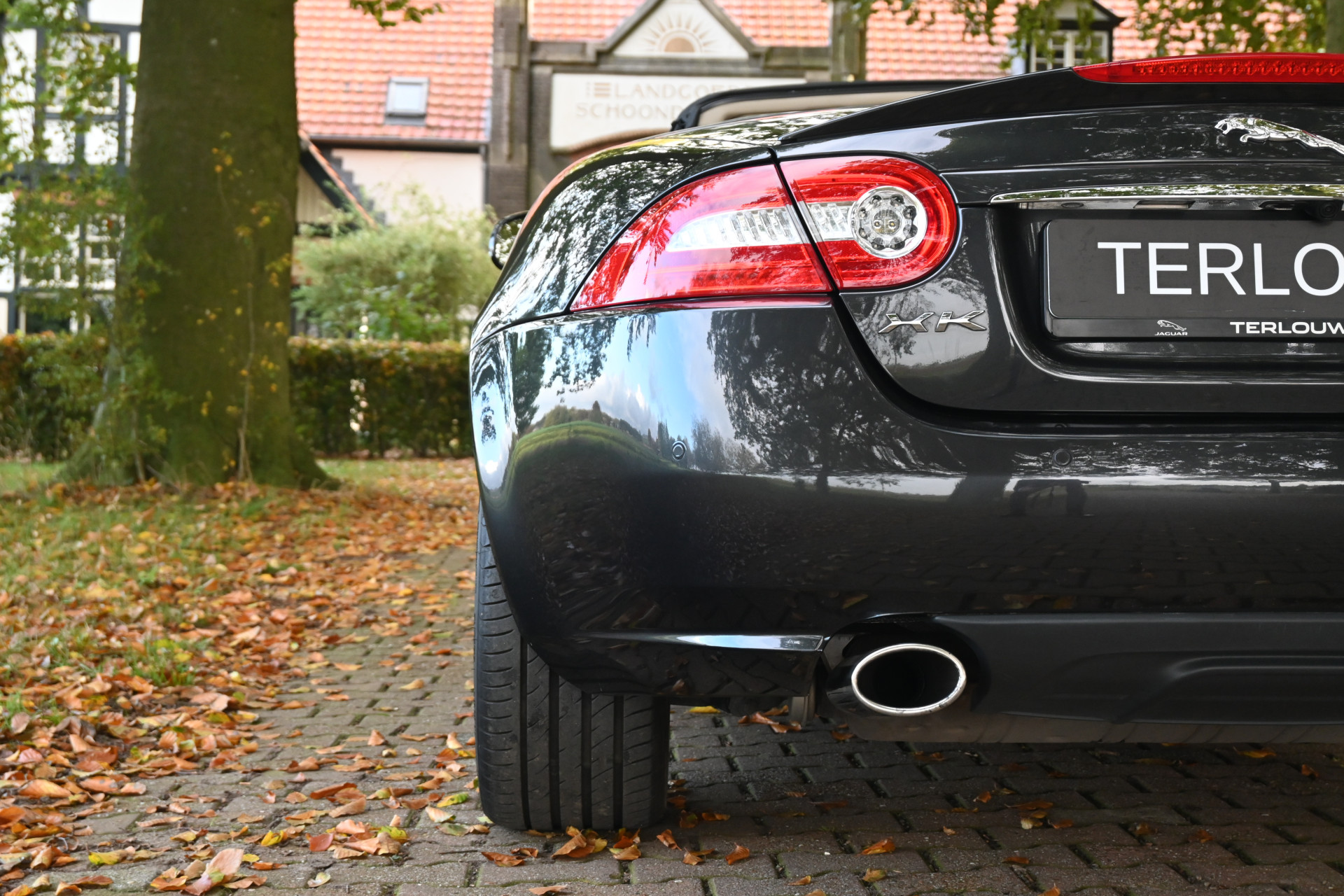 Hoofdafbeelding Jaguar XK