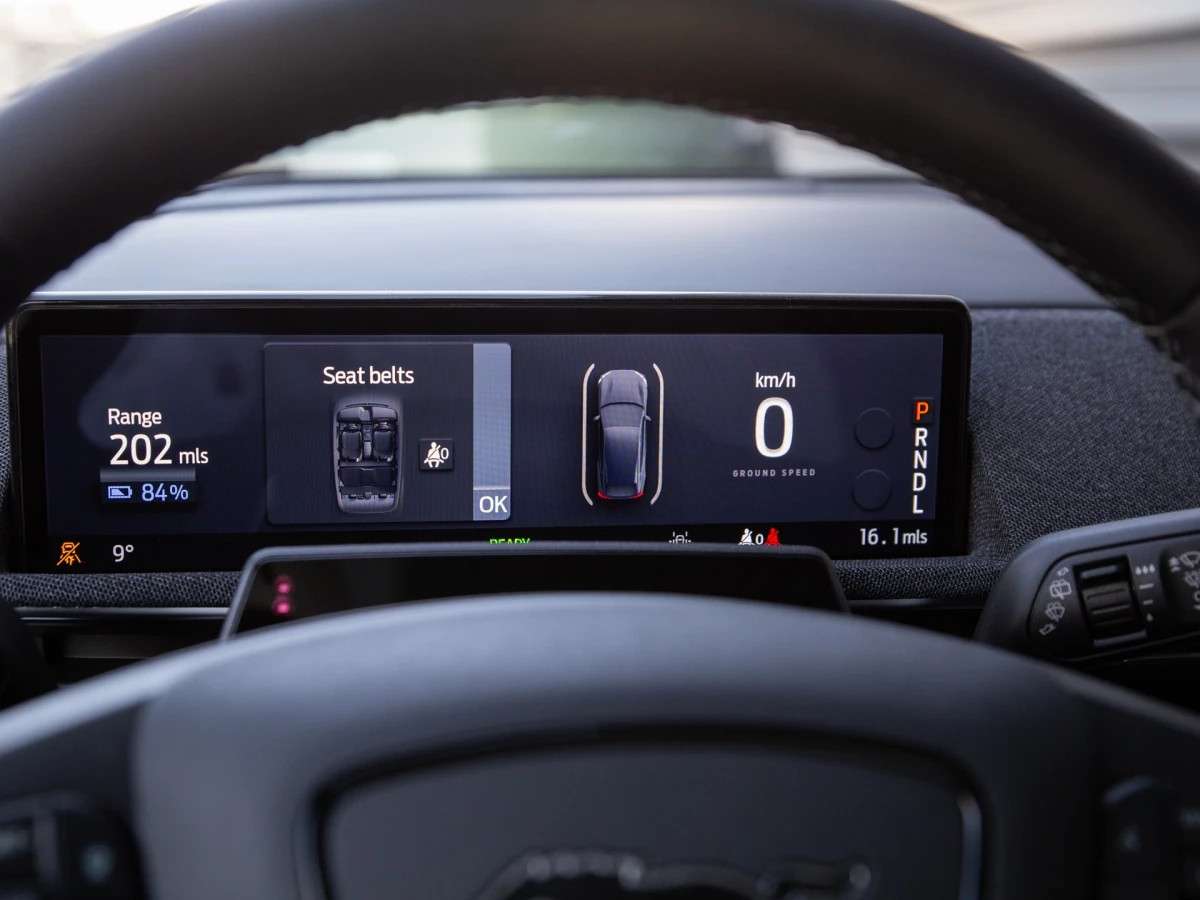 Ford-Mustang Mach-E-image-9