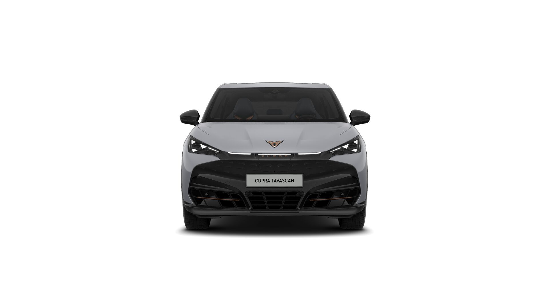 Hoofdafbeelding CUPRA Tavascan