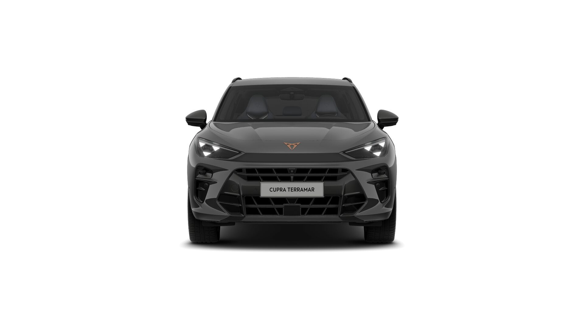 Hoofdafbeelding CUPRA Terramar